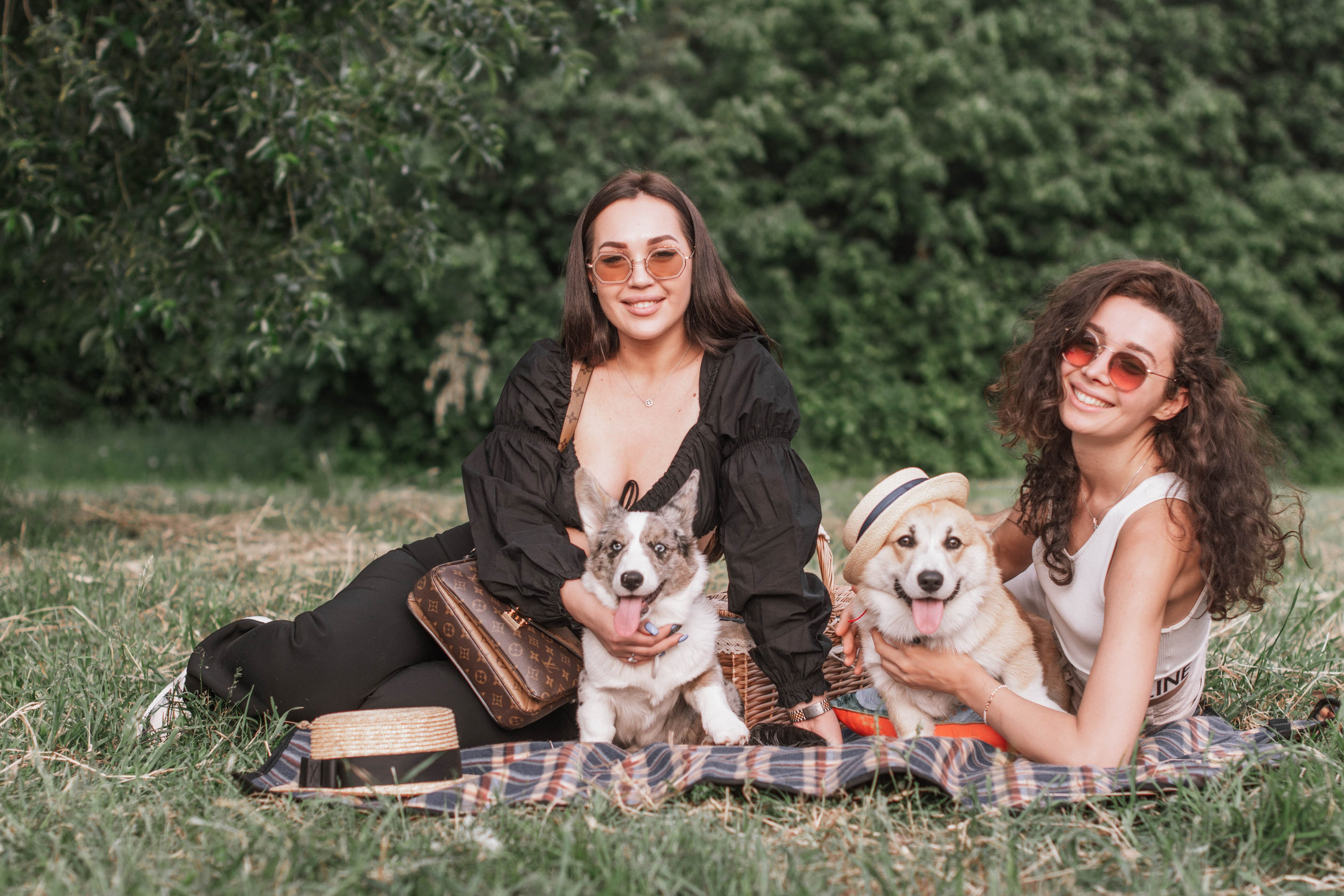 Репортаж встречи владельцев собак породы корги. Фотограф собак, анималист в Москве Кира Яковлева