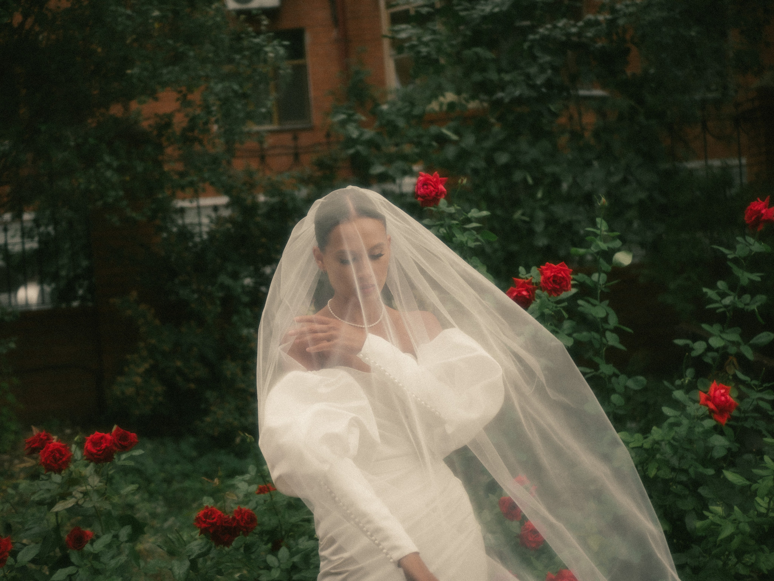 Любовь, радуга и розы. Фотограф Нэля Хаматова