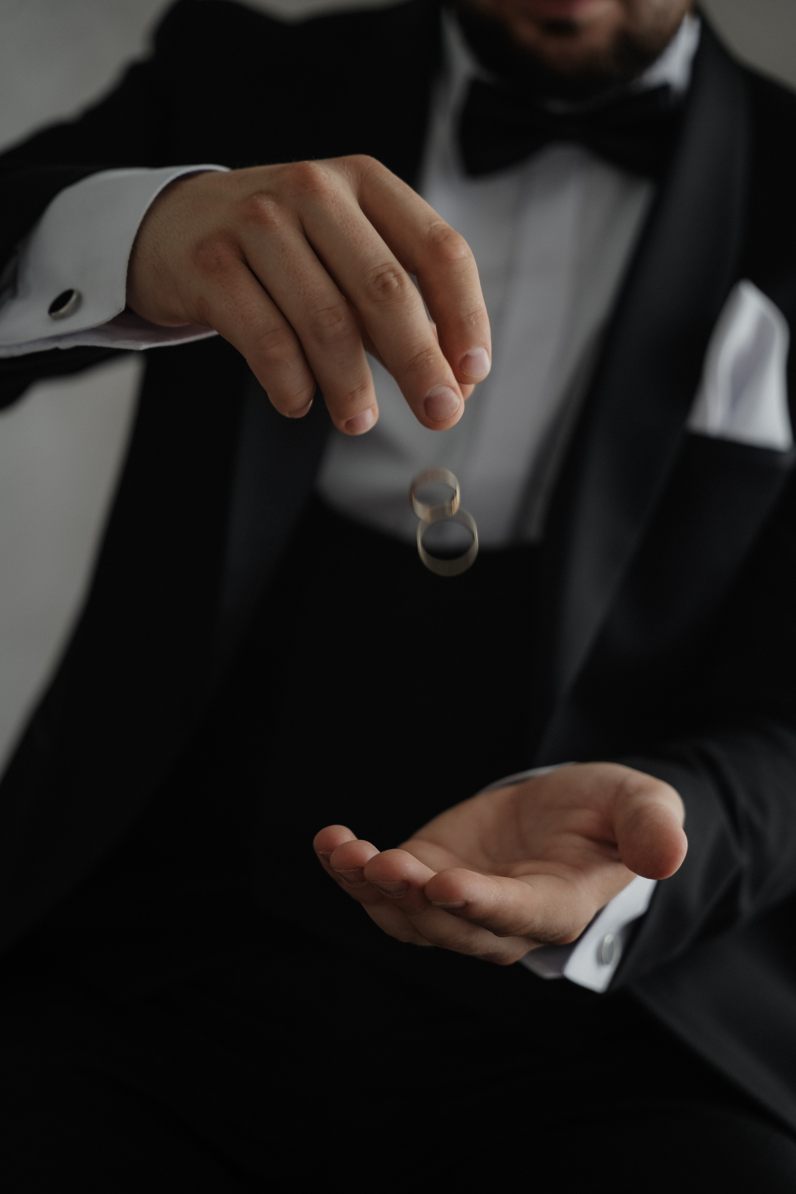 Astoria. VISUAL ARTIST · KRONGAUZ ANASTASIA