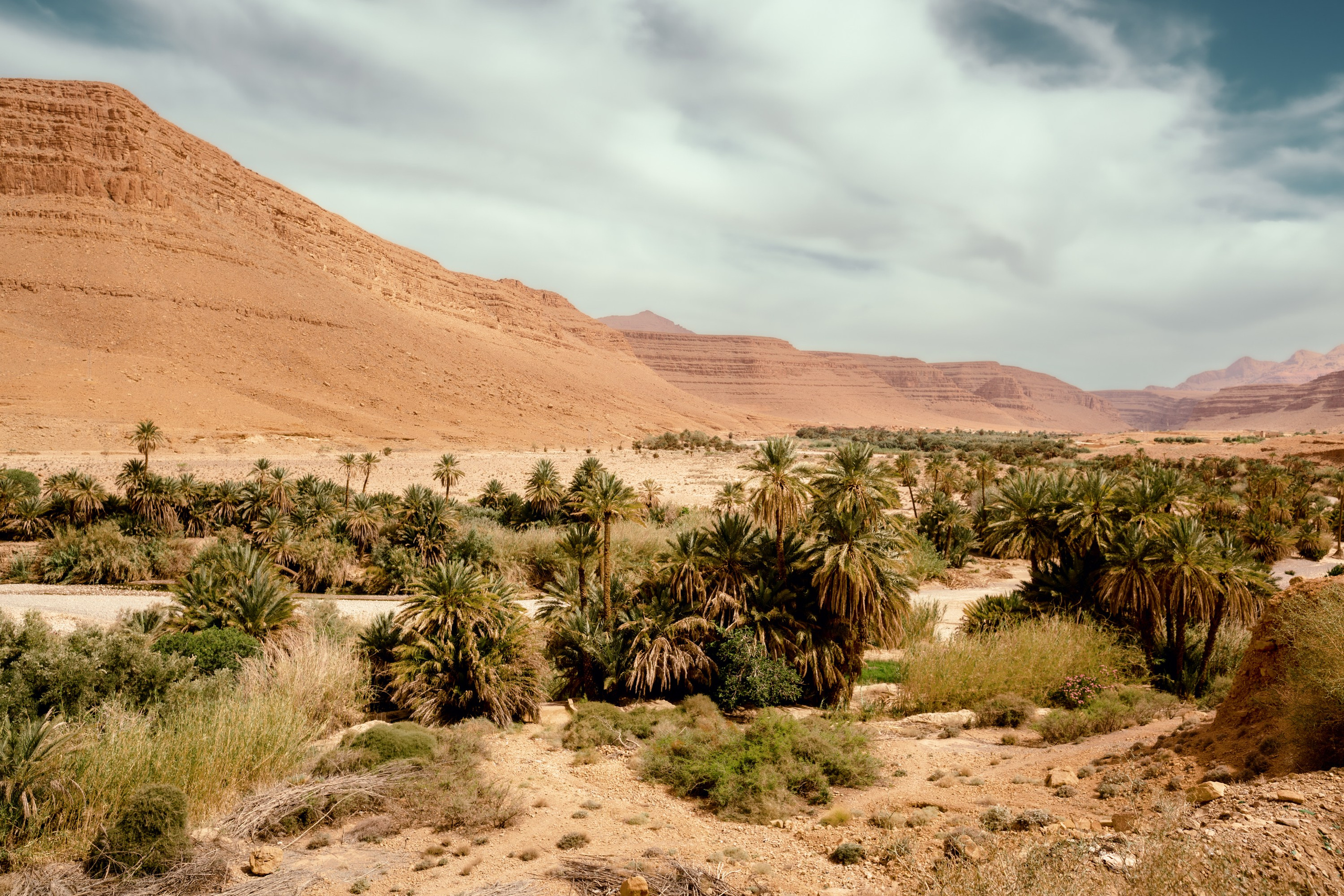 Северная Африка: Тунис, Марокко. Фотограф в Хабаровске. Фотография за 24 часа