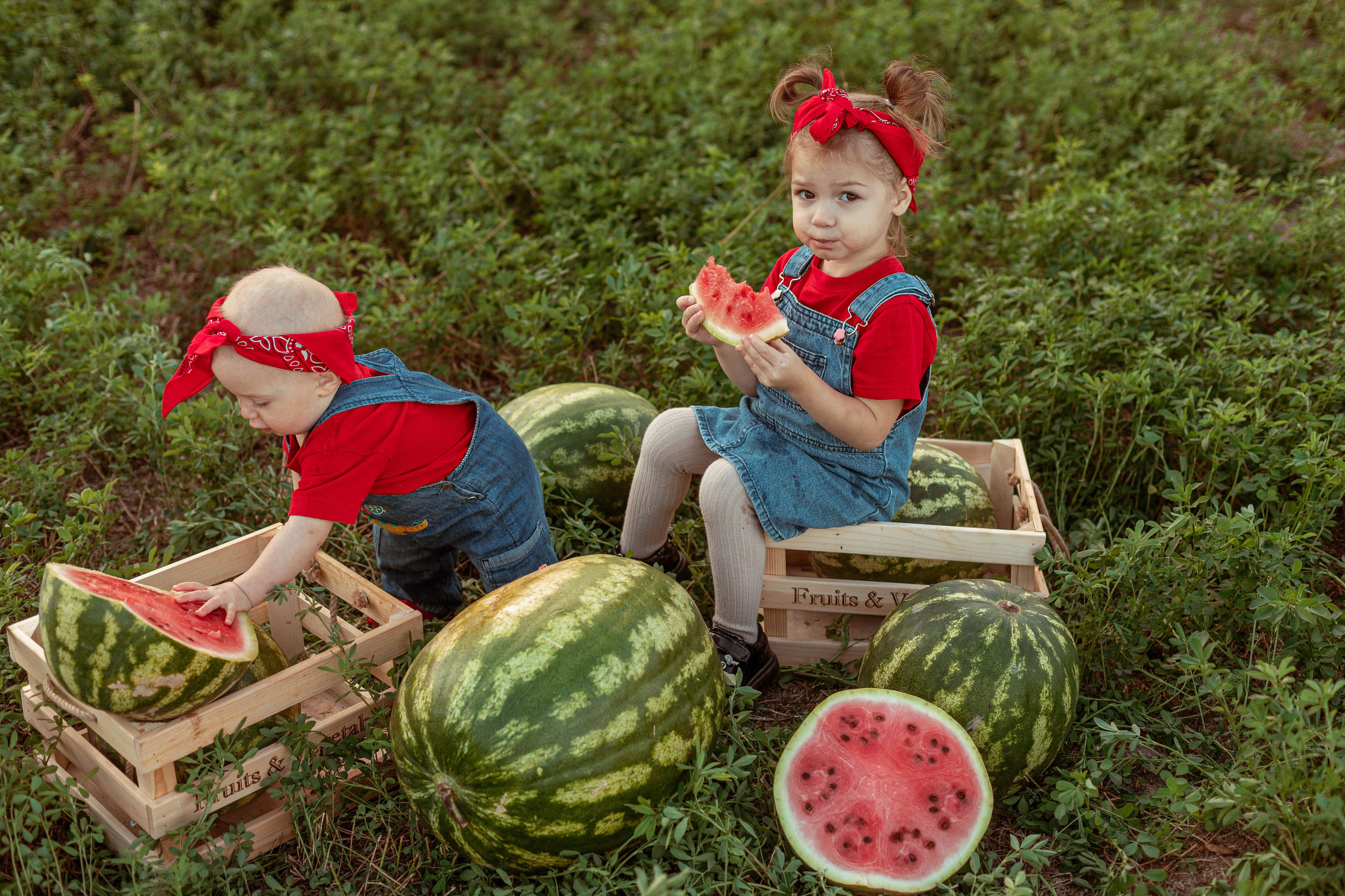 АРБУЗЫ. Семейный и детский фотограф в Крыму Екатерина Швец