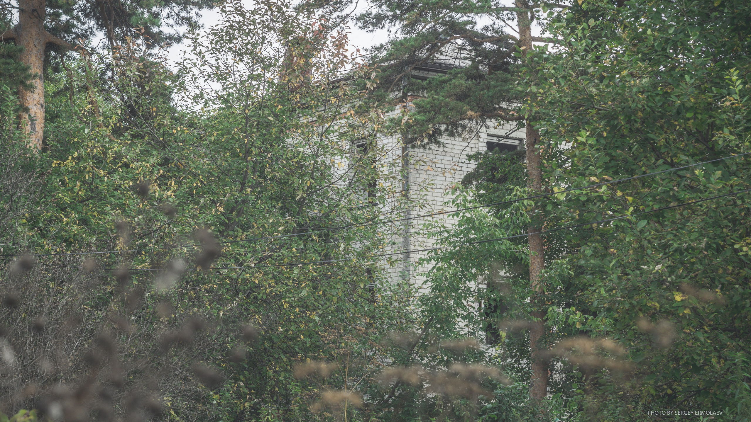 На тропах старинного парка