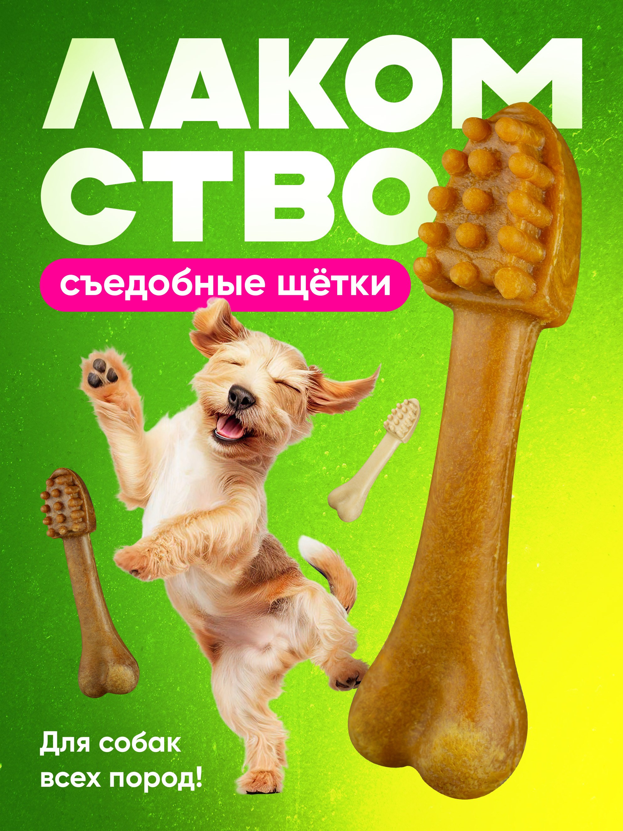 Товары для животных. Предметная съёмка и инфографика для маркетплейсов в Краснодаре