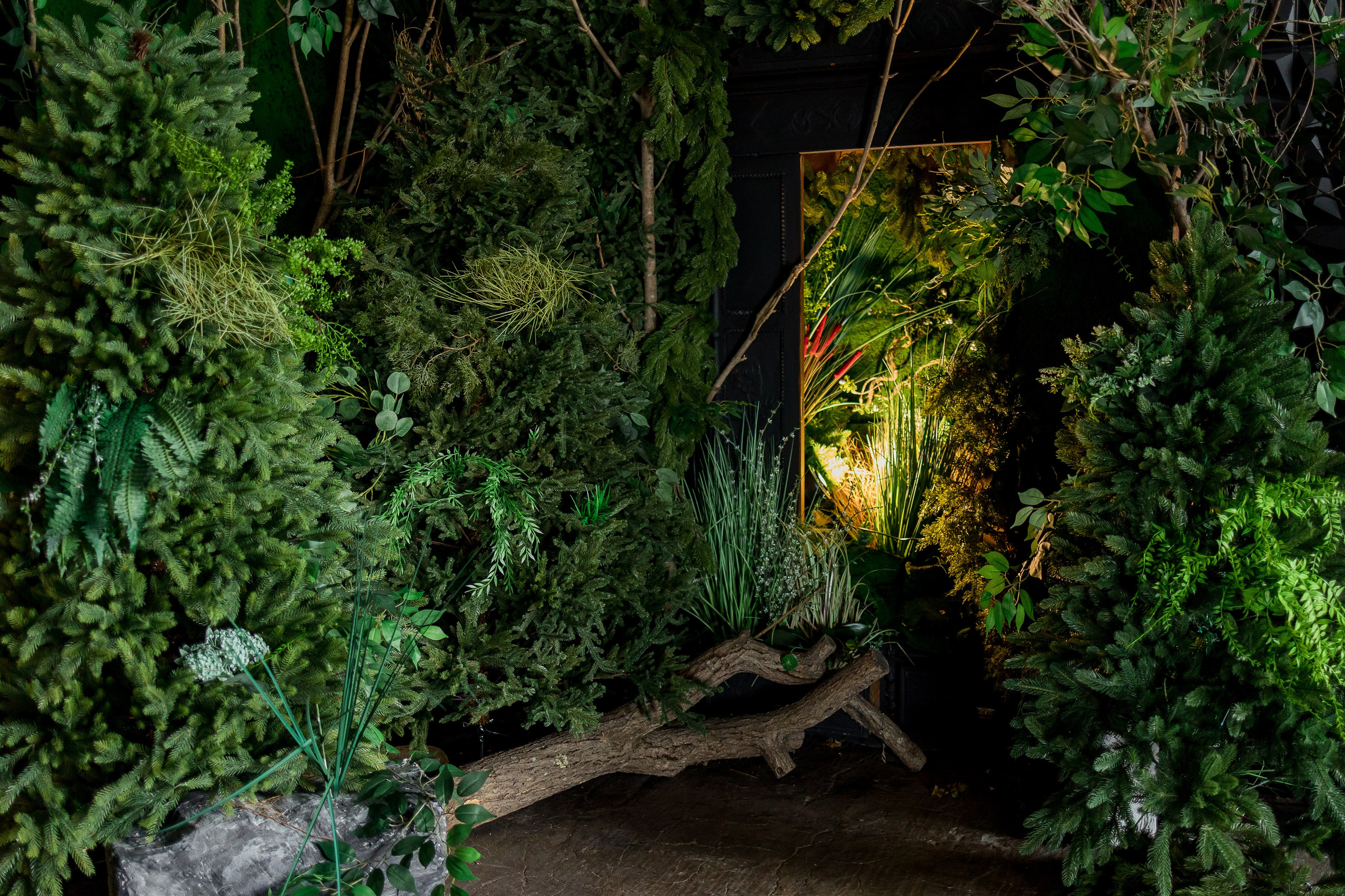 Темный зал. Фотостудия ЭМБЕР город Артём