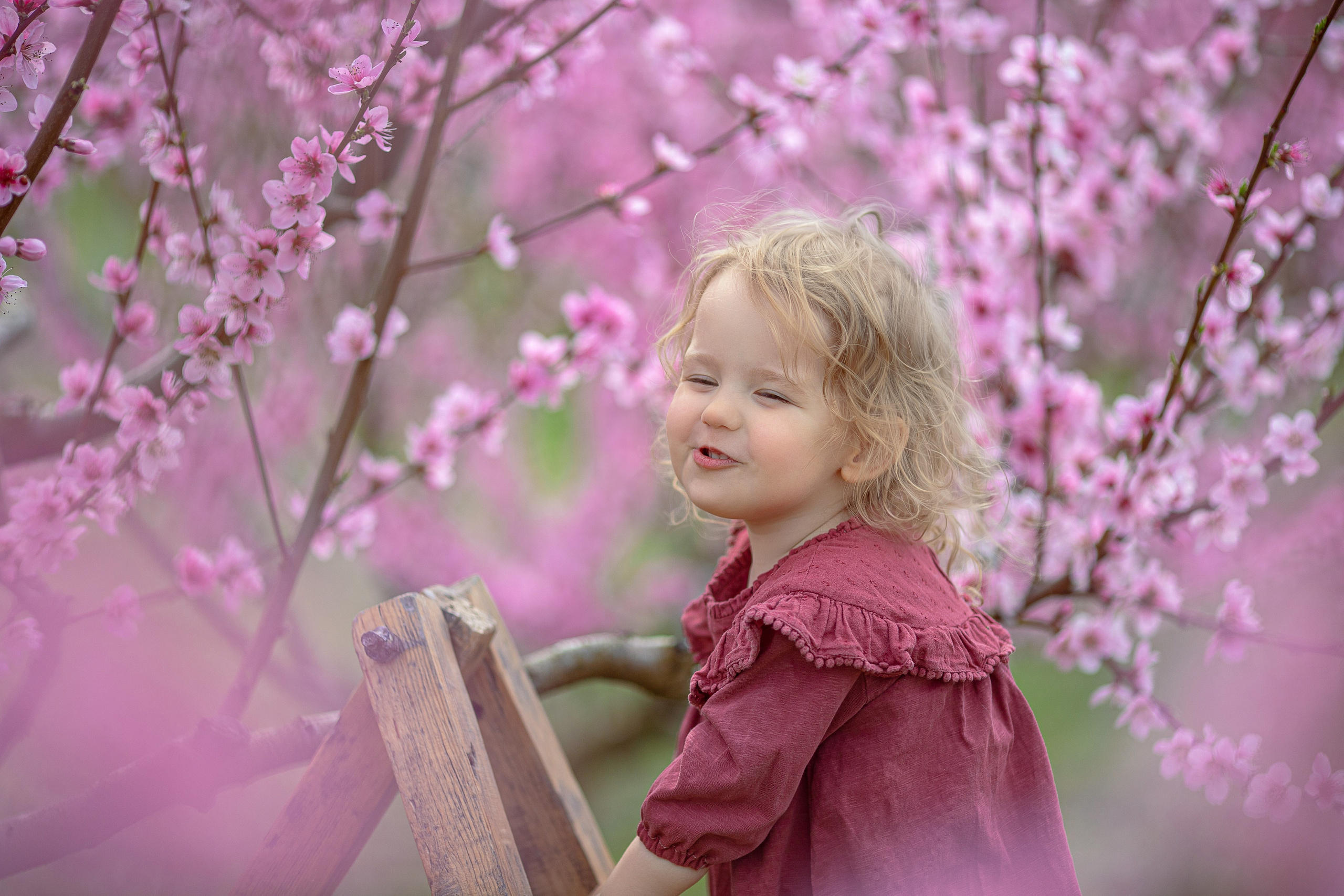 Цветущие персики 2024 г. Семейный и детский фотограф в Крыму Екатерина Швец