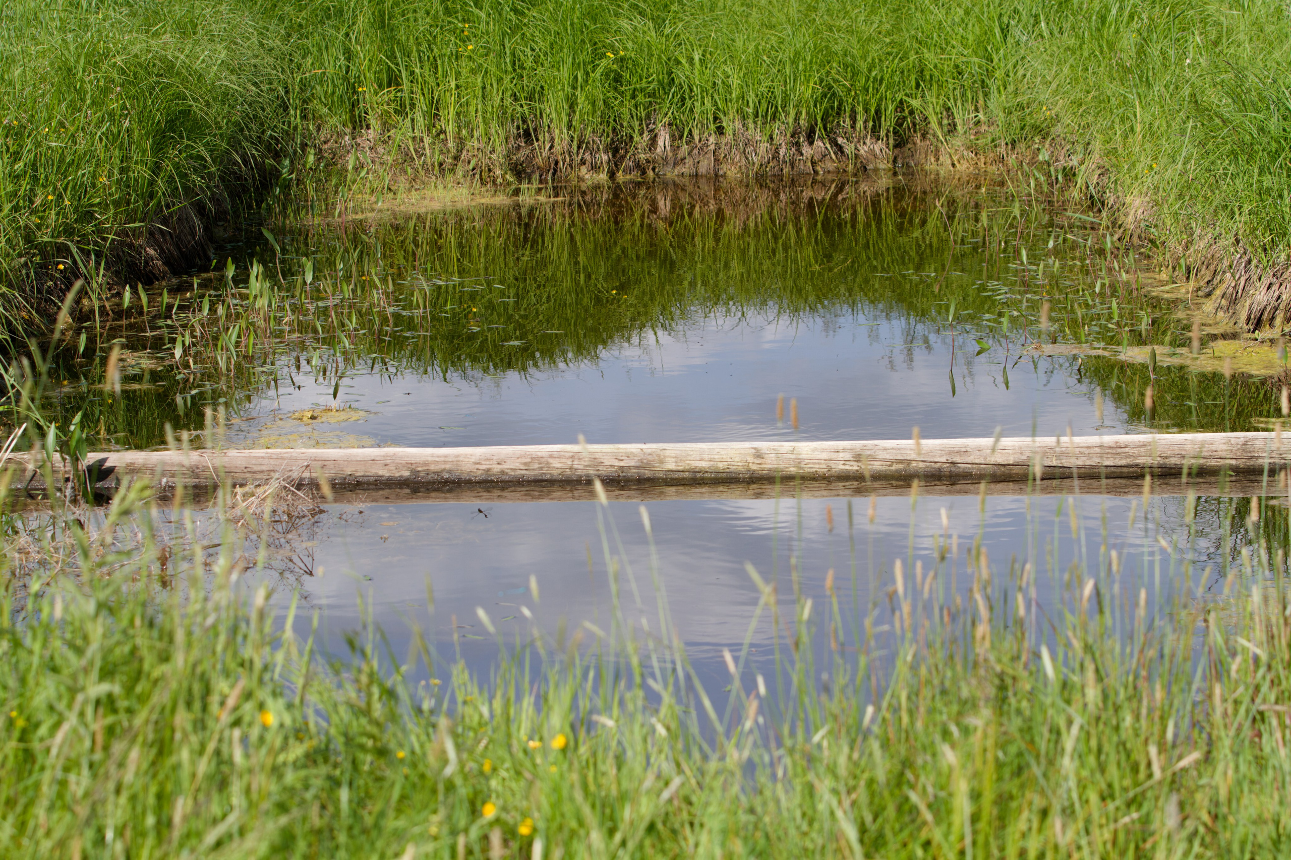 Родео59. Репортажный и спортивный фотограф в г. Пермь Зильберг Павел