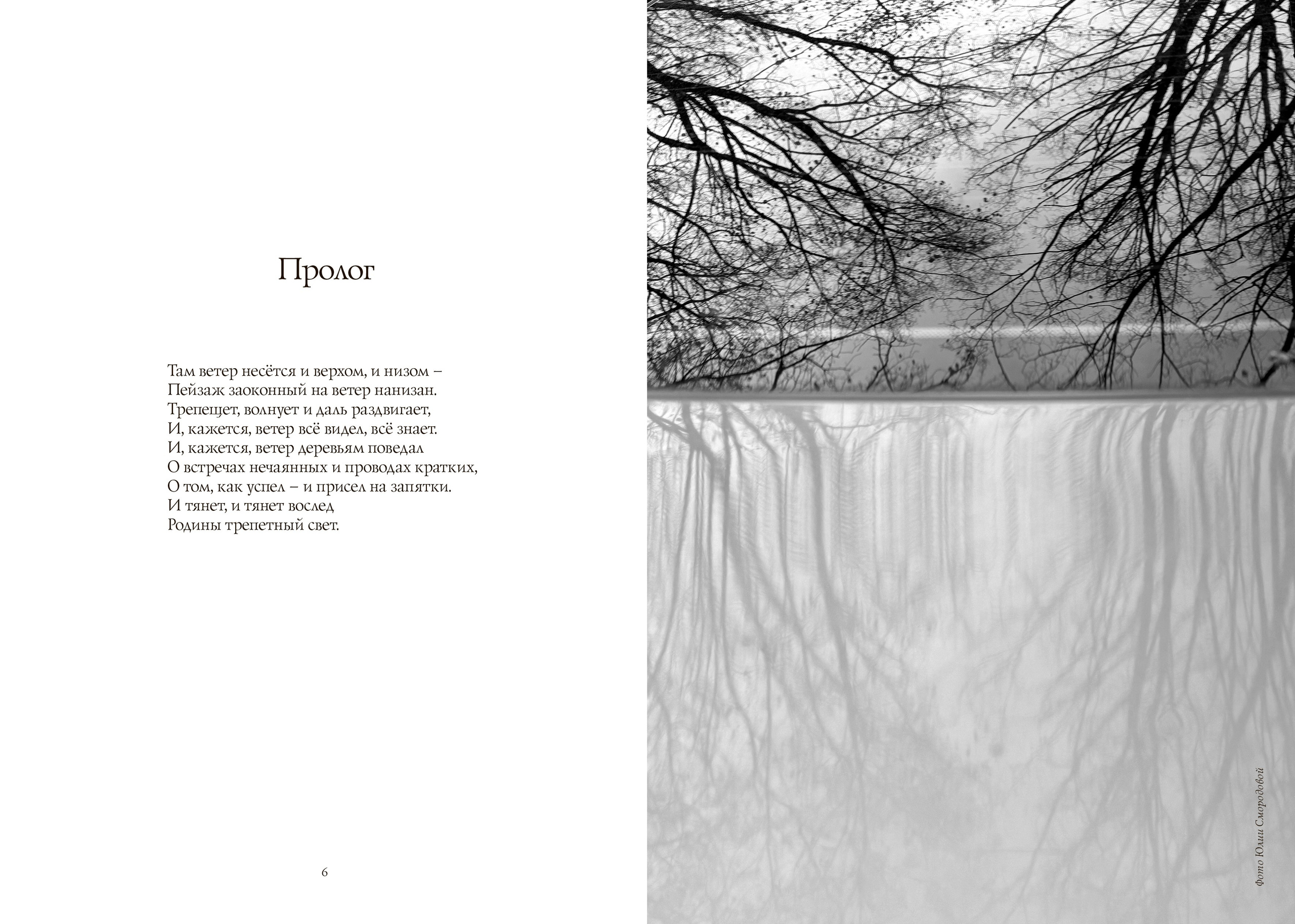 Презентация книги В. Н. Бабковского «Снежность». Фотограф Юлия Близнецова