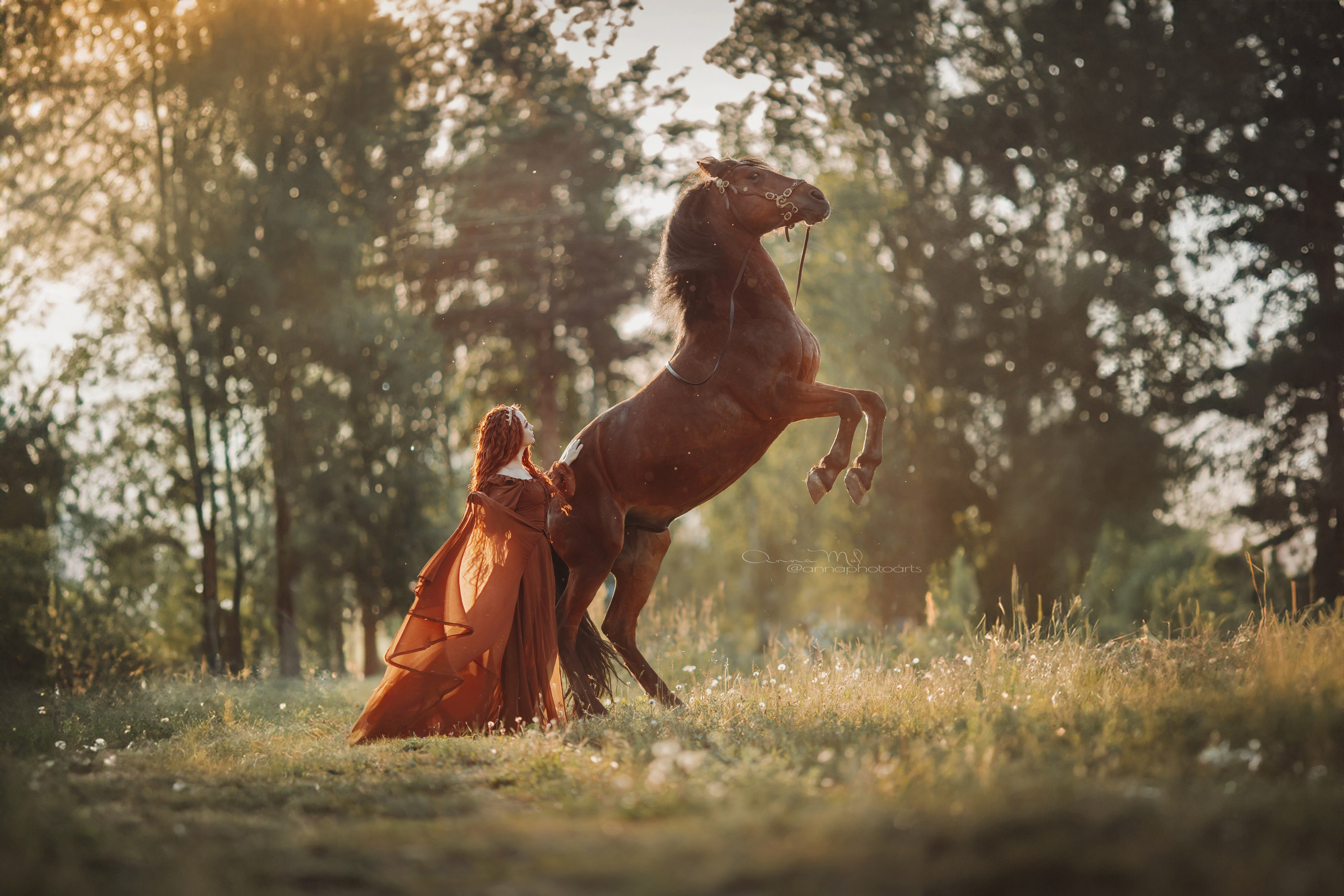 Для фотографов. Анна Молчанова конный фотограф в Тюмени | фотосессии с лошадьми Тюмень