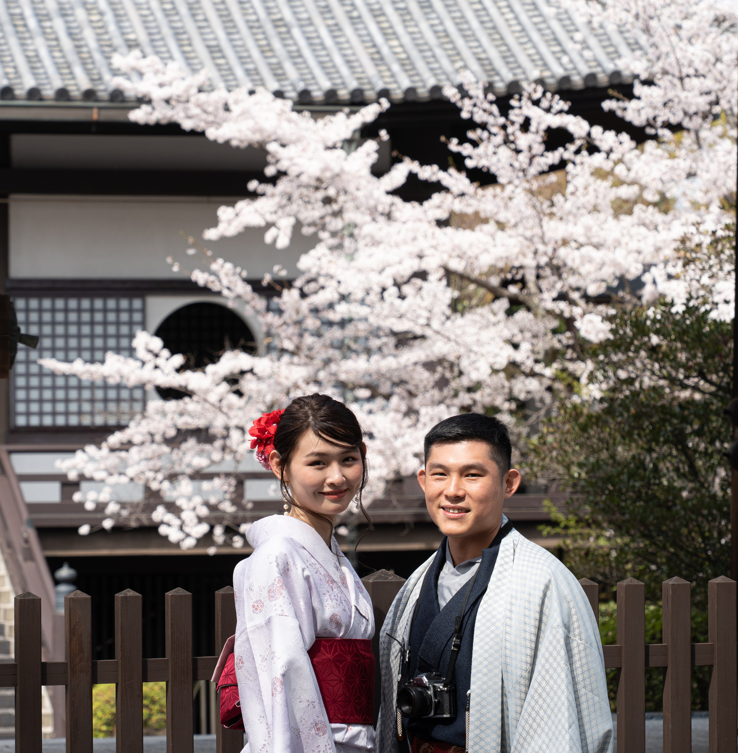 Япония, сакура. Творческие сьемки