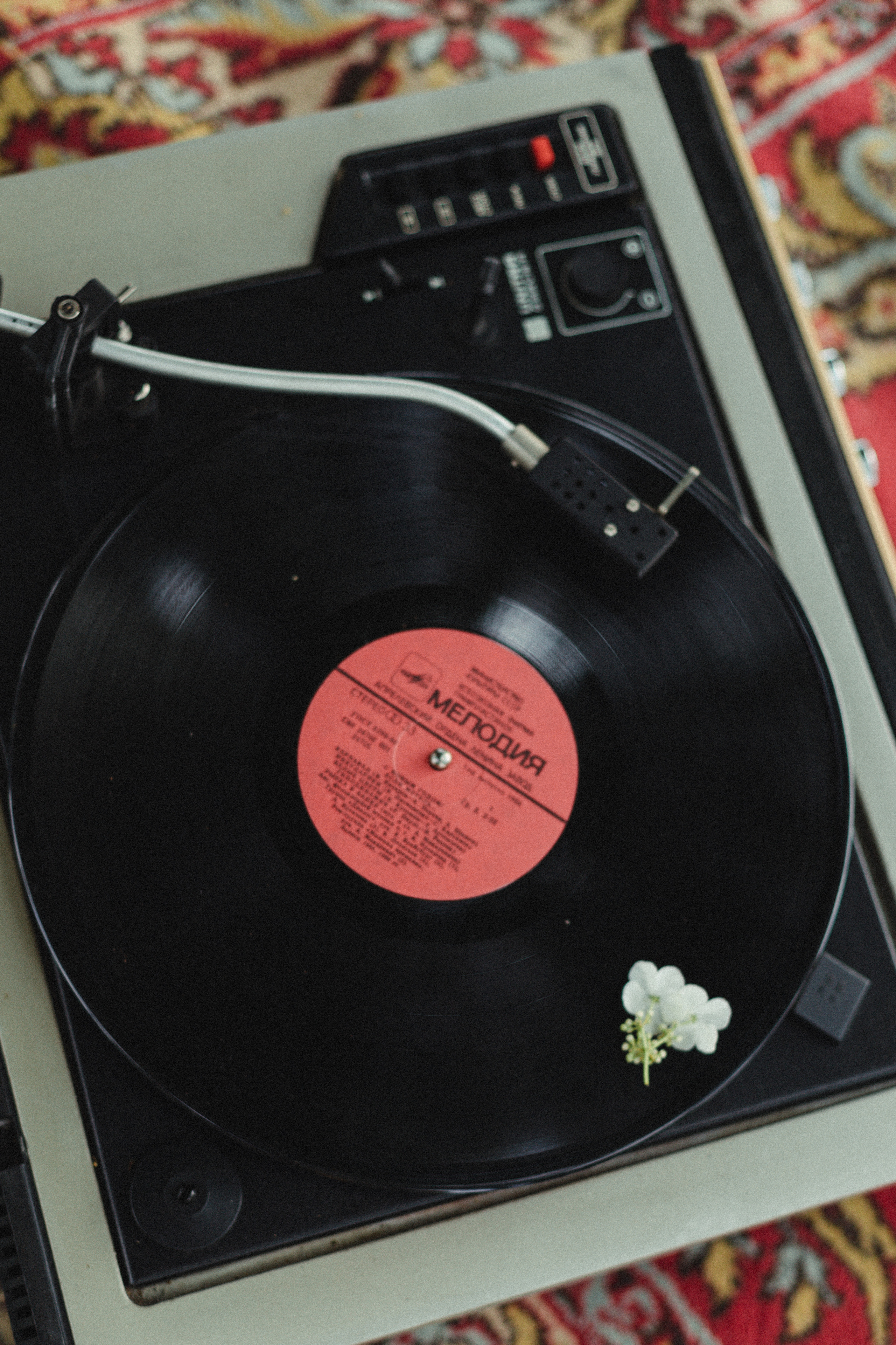 Jane Birkin. Свадебный фотограф в Ижевске Диля Ахмадишина