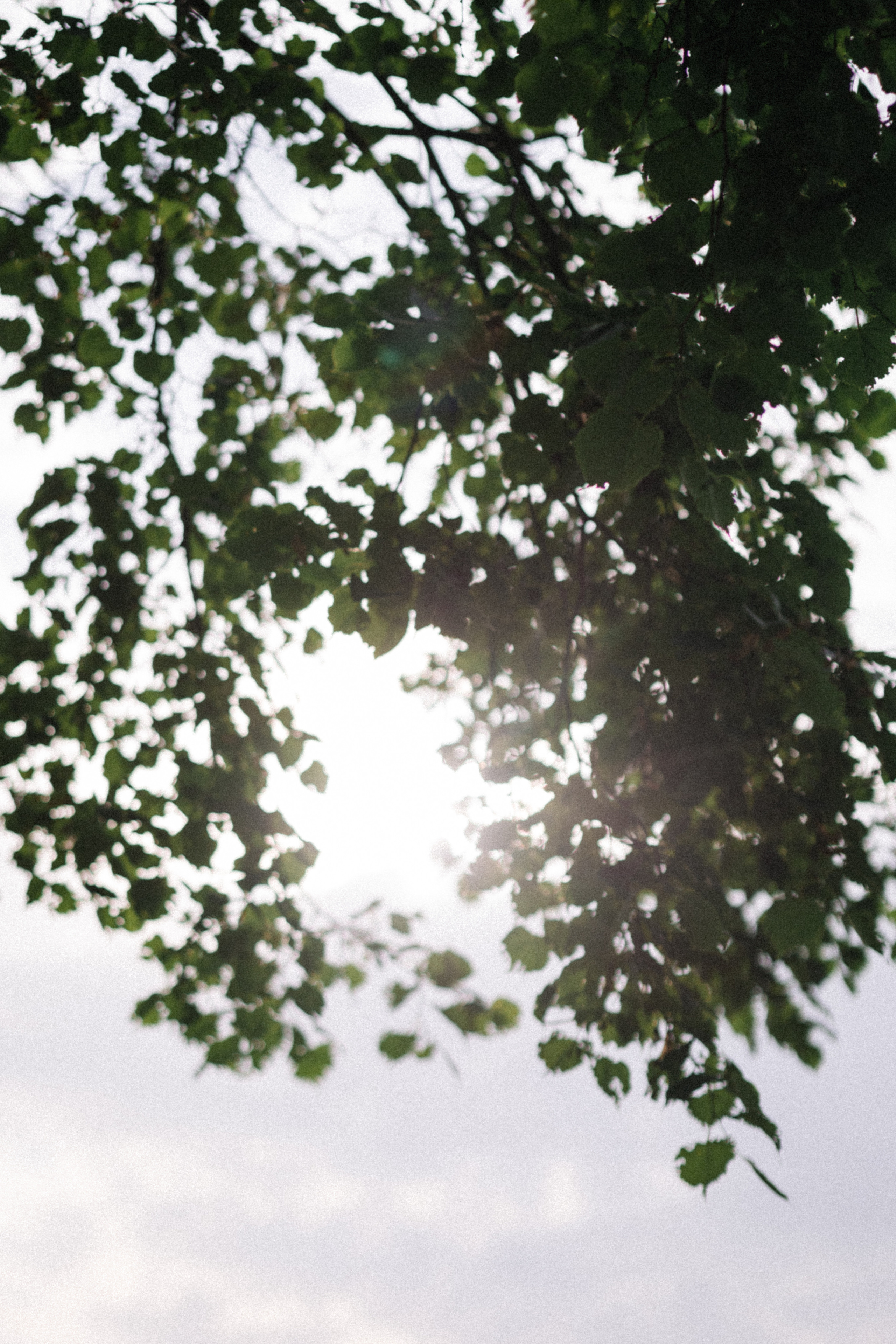 Jane Birkin. Свадебный фотограф в Ижевске Диля Ахмадишина