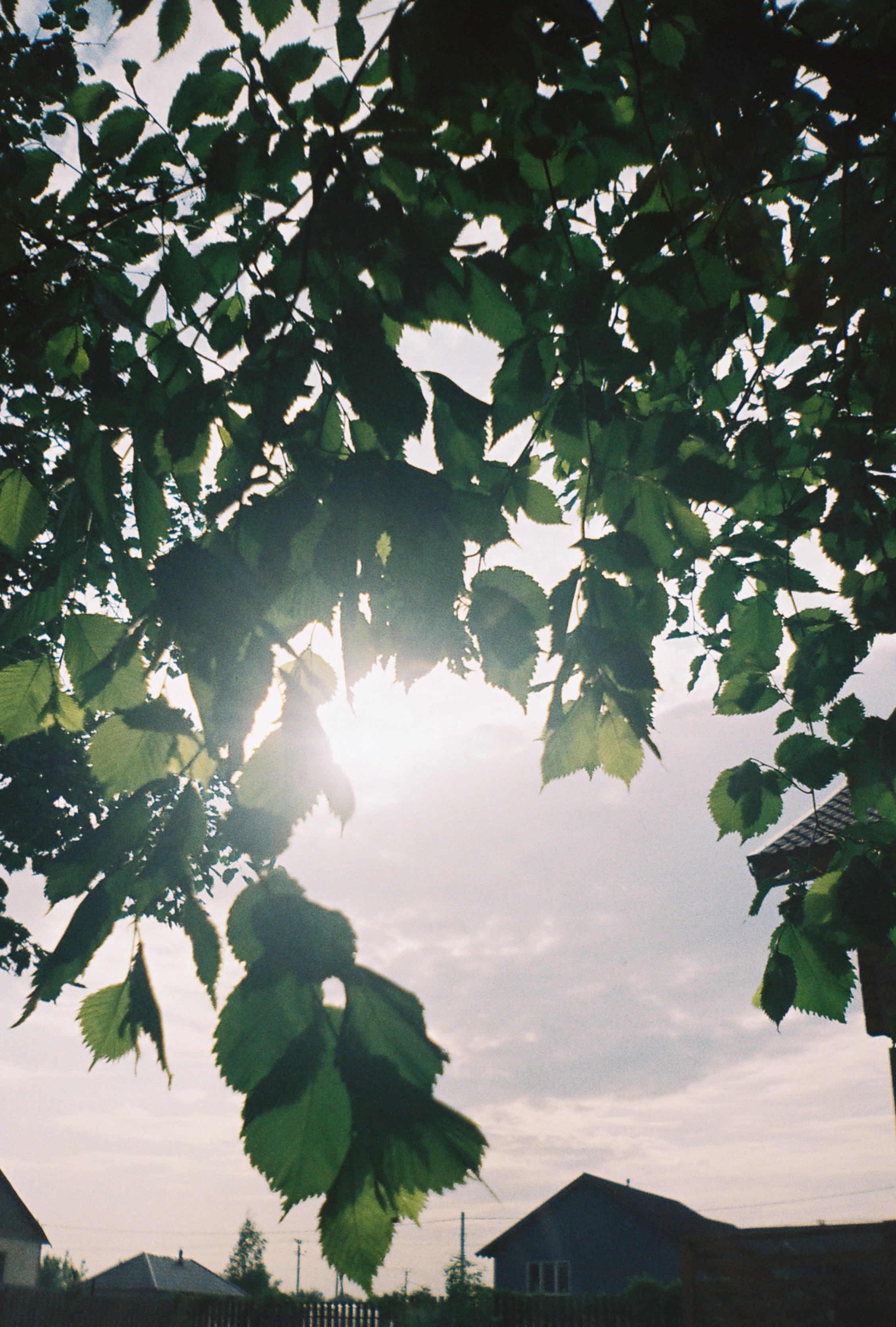 Jane Birkin. Свадебный фотограф в Ижевске Диля Ахмадишина