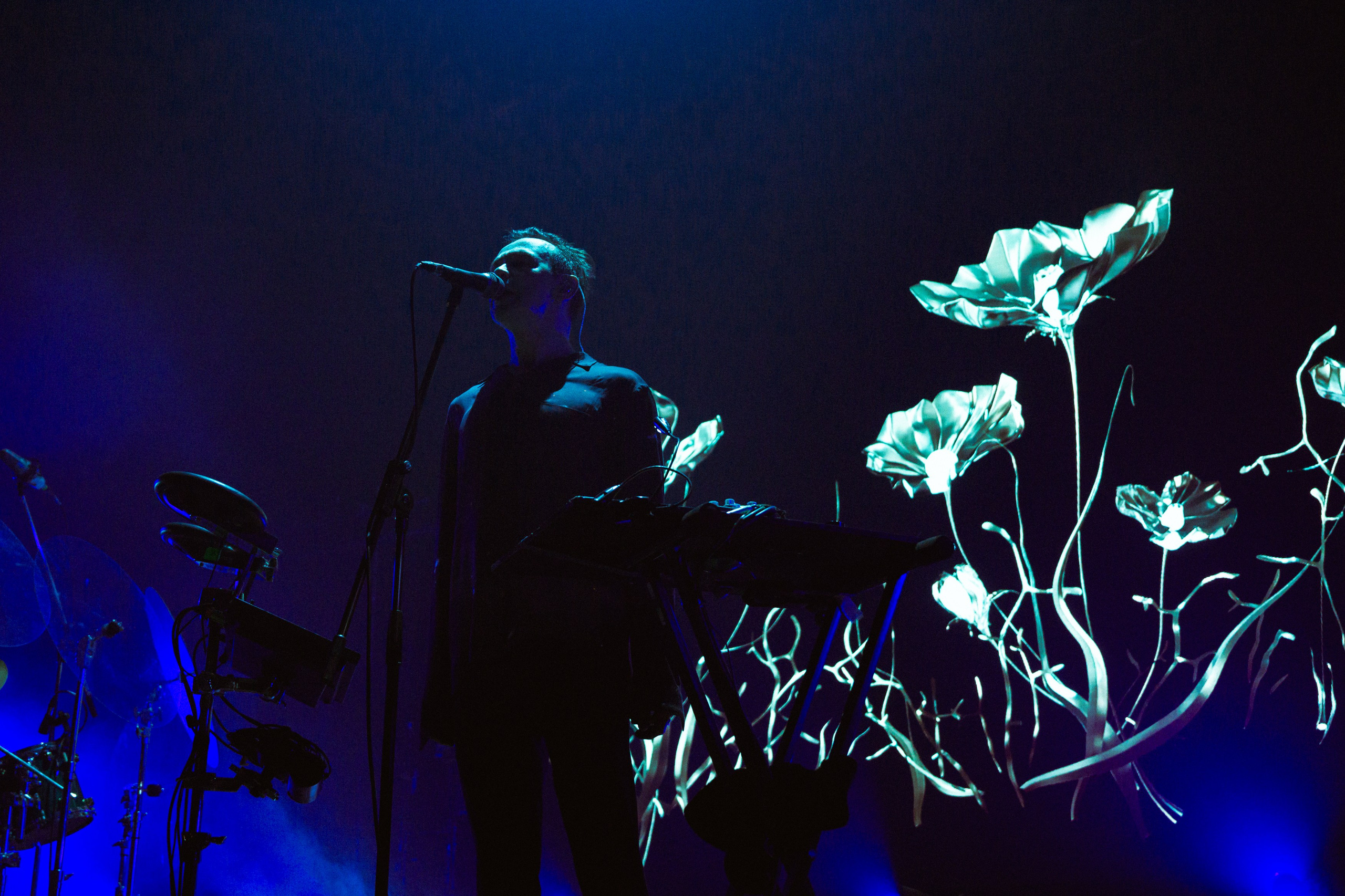 Концертное портфолио фотографа. Концертный и бэкстейдж фотограф | Полина Розова | Кит