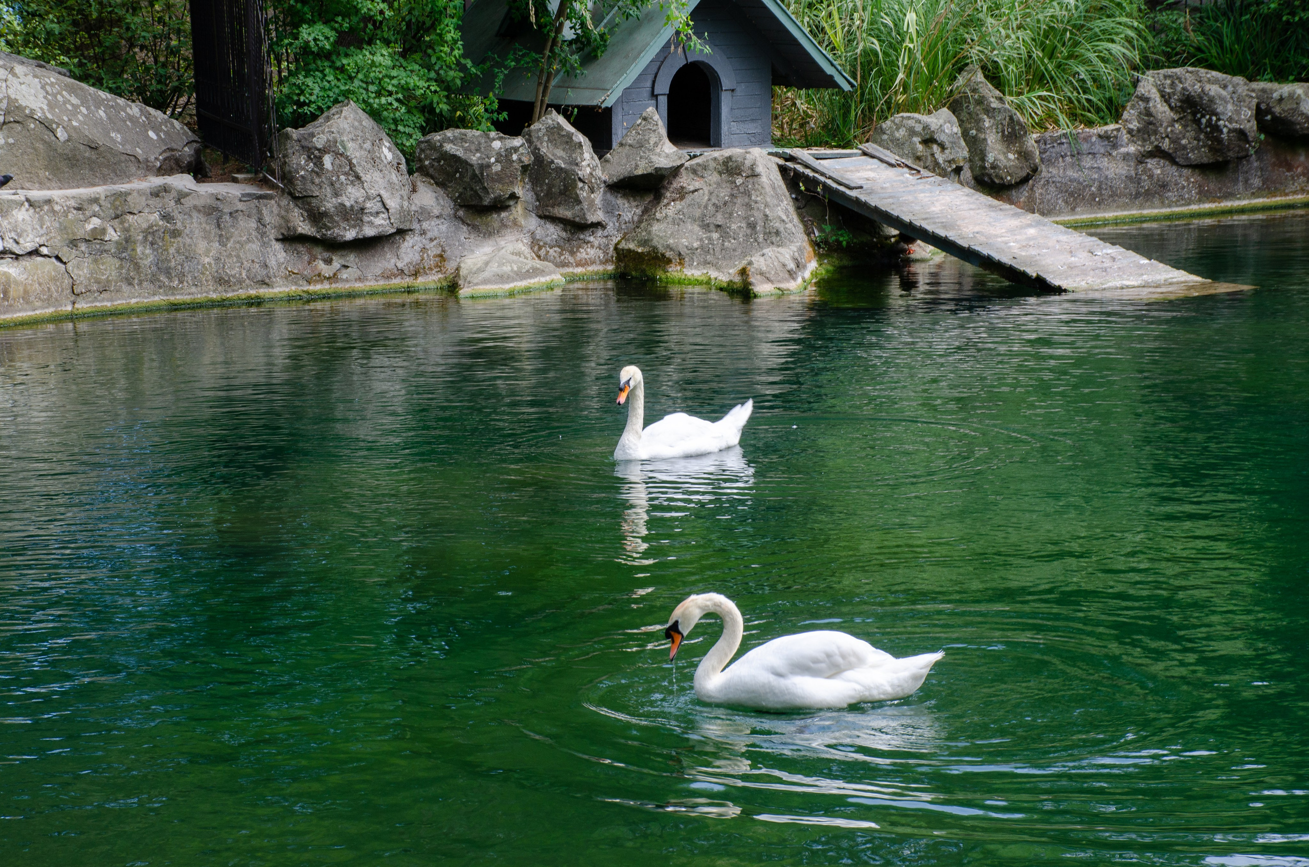 Путешествия. Фотограф и ретушер Самохвалова Ольга