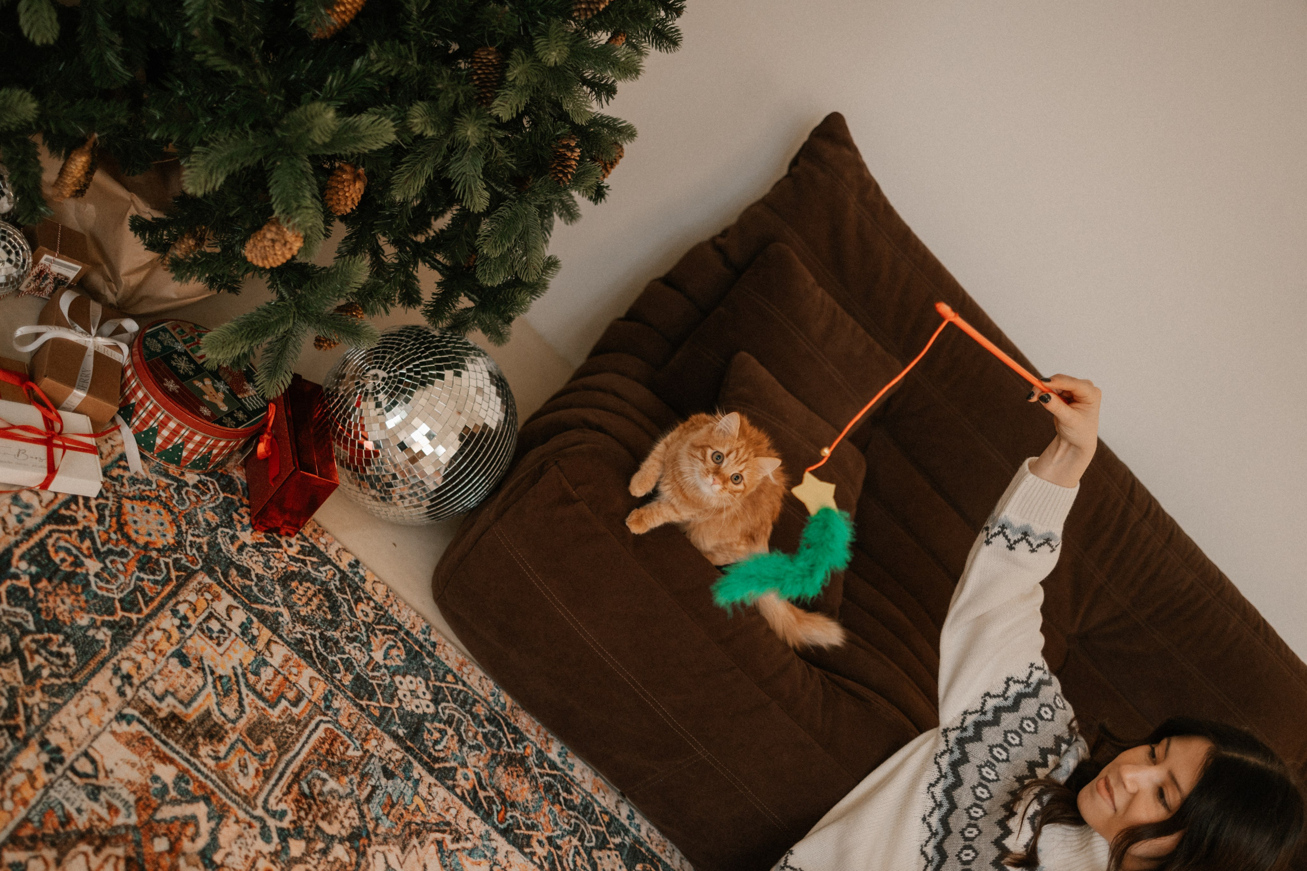 Камилла и ее девочки. Фотограф — Анималист | Санкт-Петербург