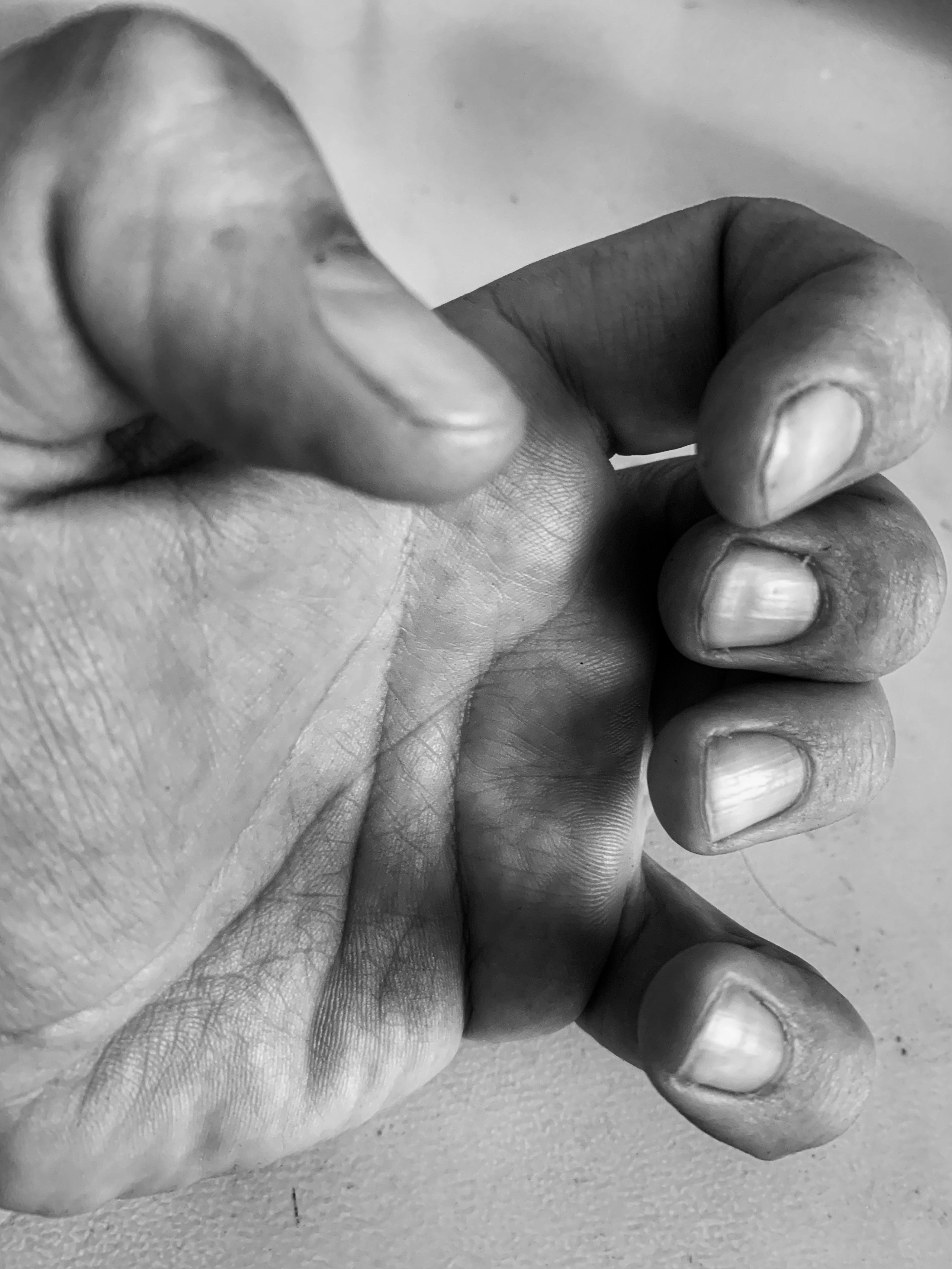 2022. Тащилин Сергей. Фотографии. Жизнь. Хобби