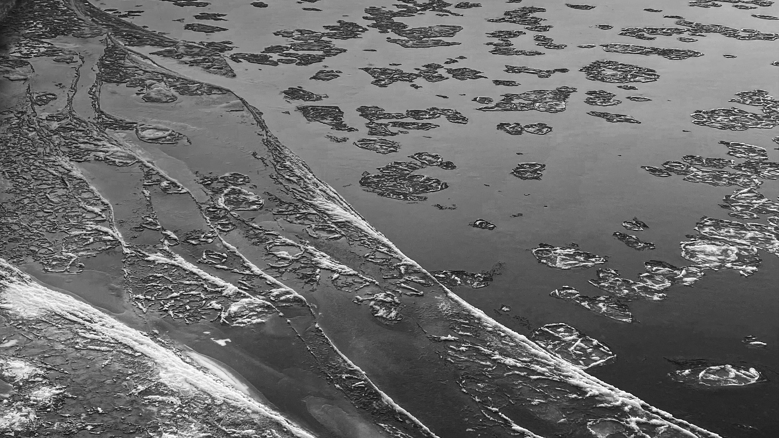 2025 год. Тащилин Сергей. Фотографии. Жизнь. Хобби