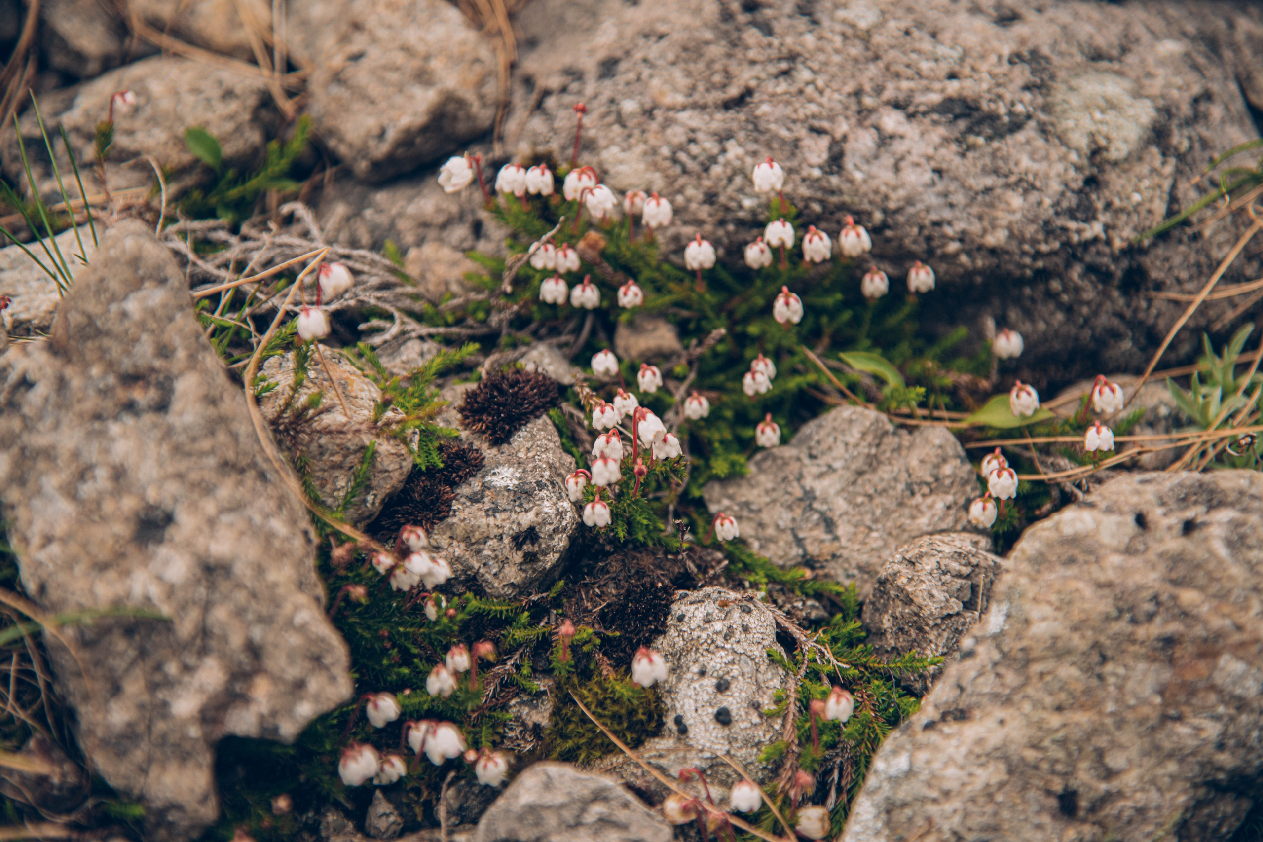 Кольский полуостров. Фотографирую для себя, своей семьи и друзей!