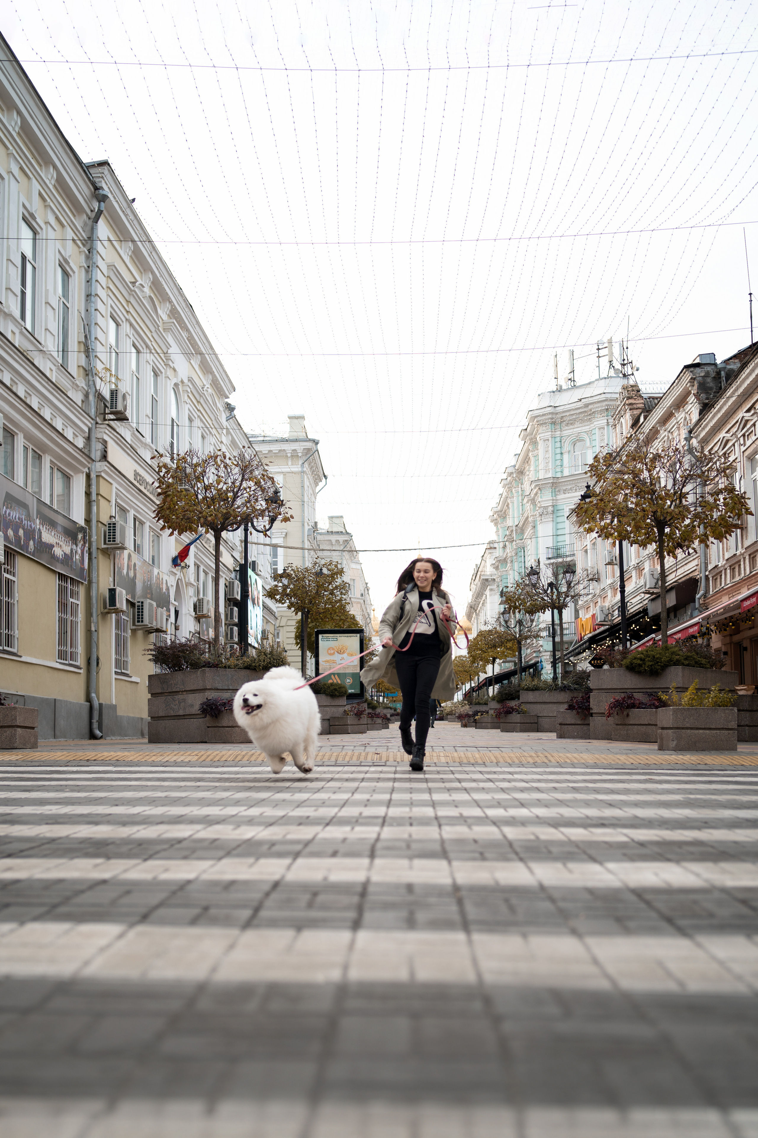 Белый и пушистый. Фотограф анималист