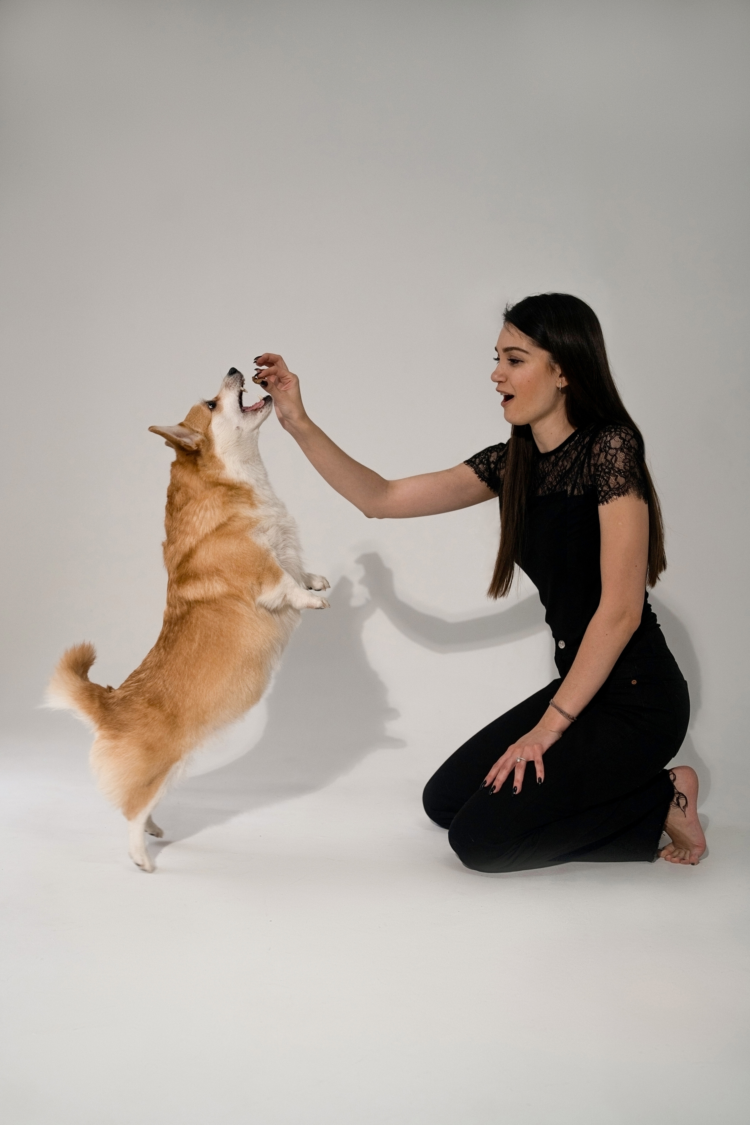 Марина и ее коржики. Фотограф анималист