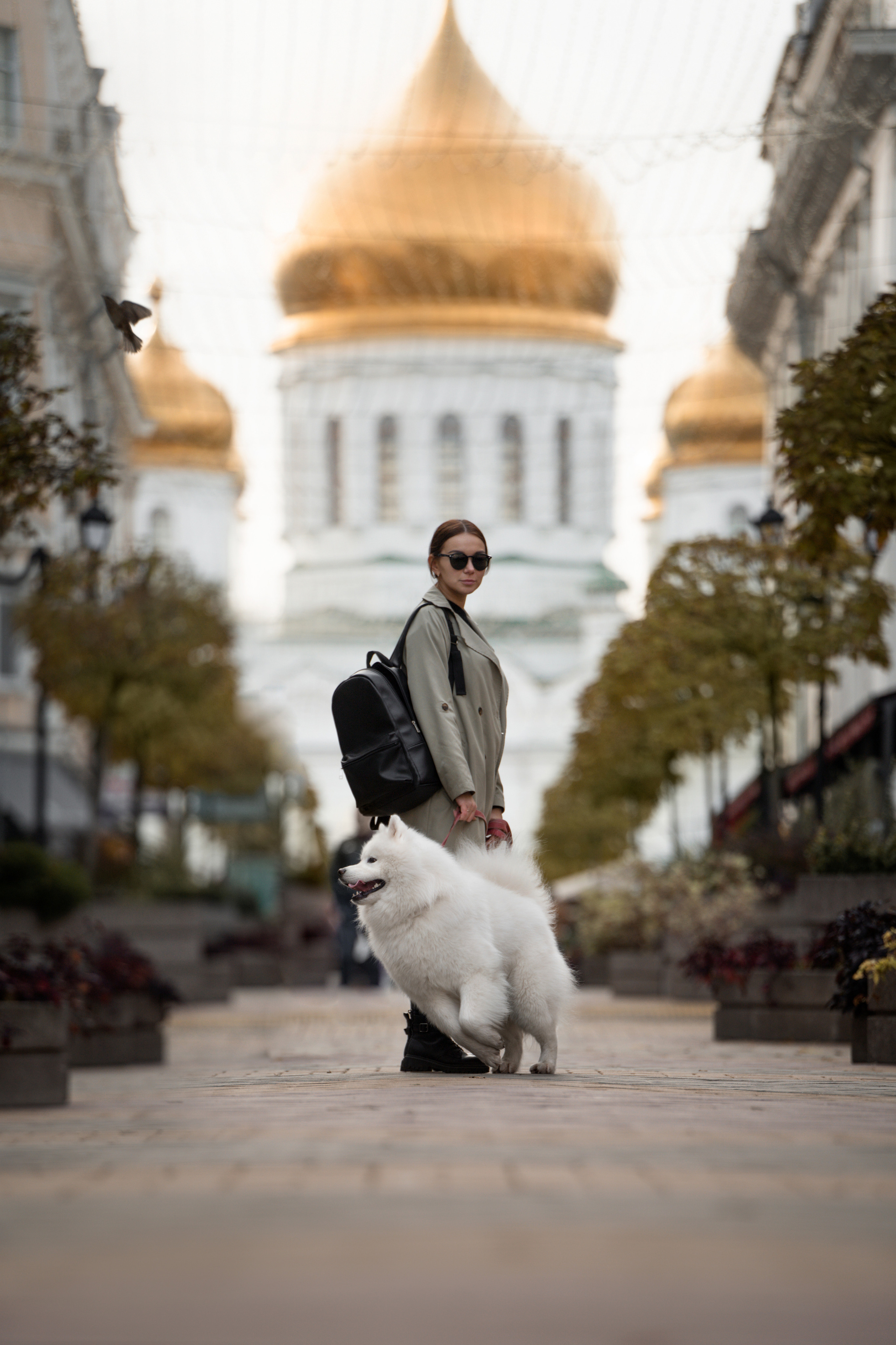 Белый и пушистый. Фотограф анималист