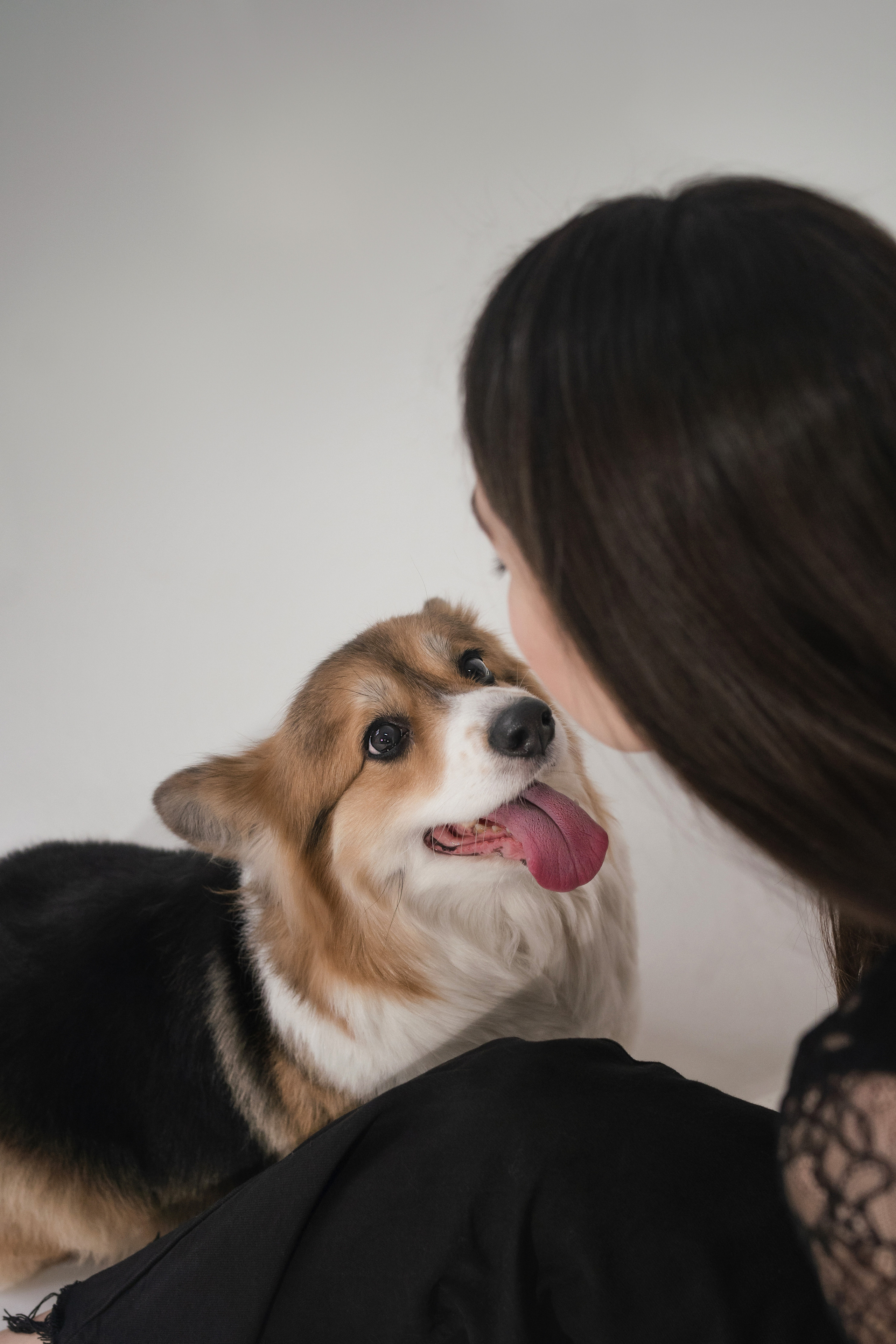 Марина и ее коржики. Фотограф анималист