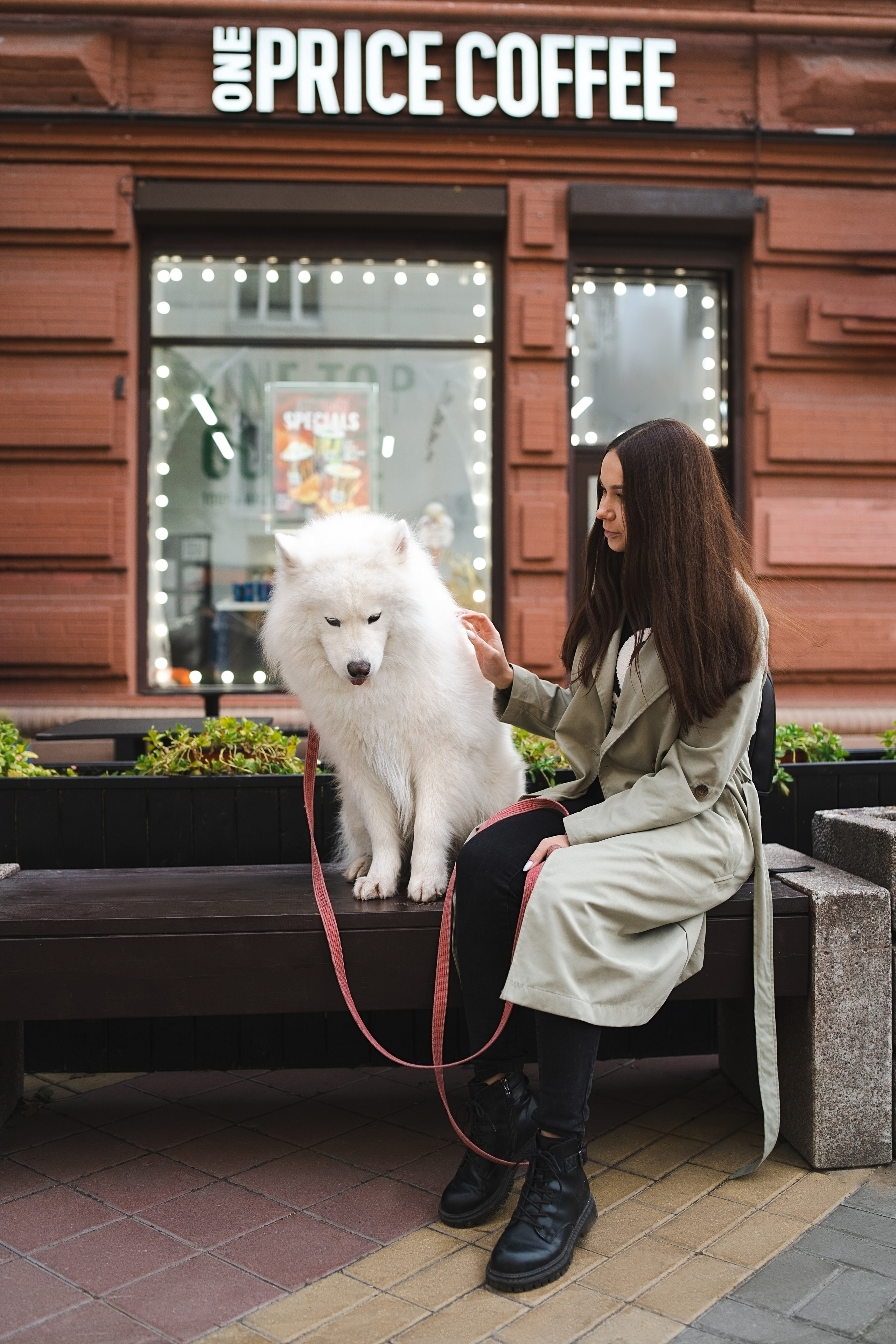 Белый и пушистый. Фотограф анималист