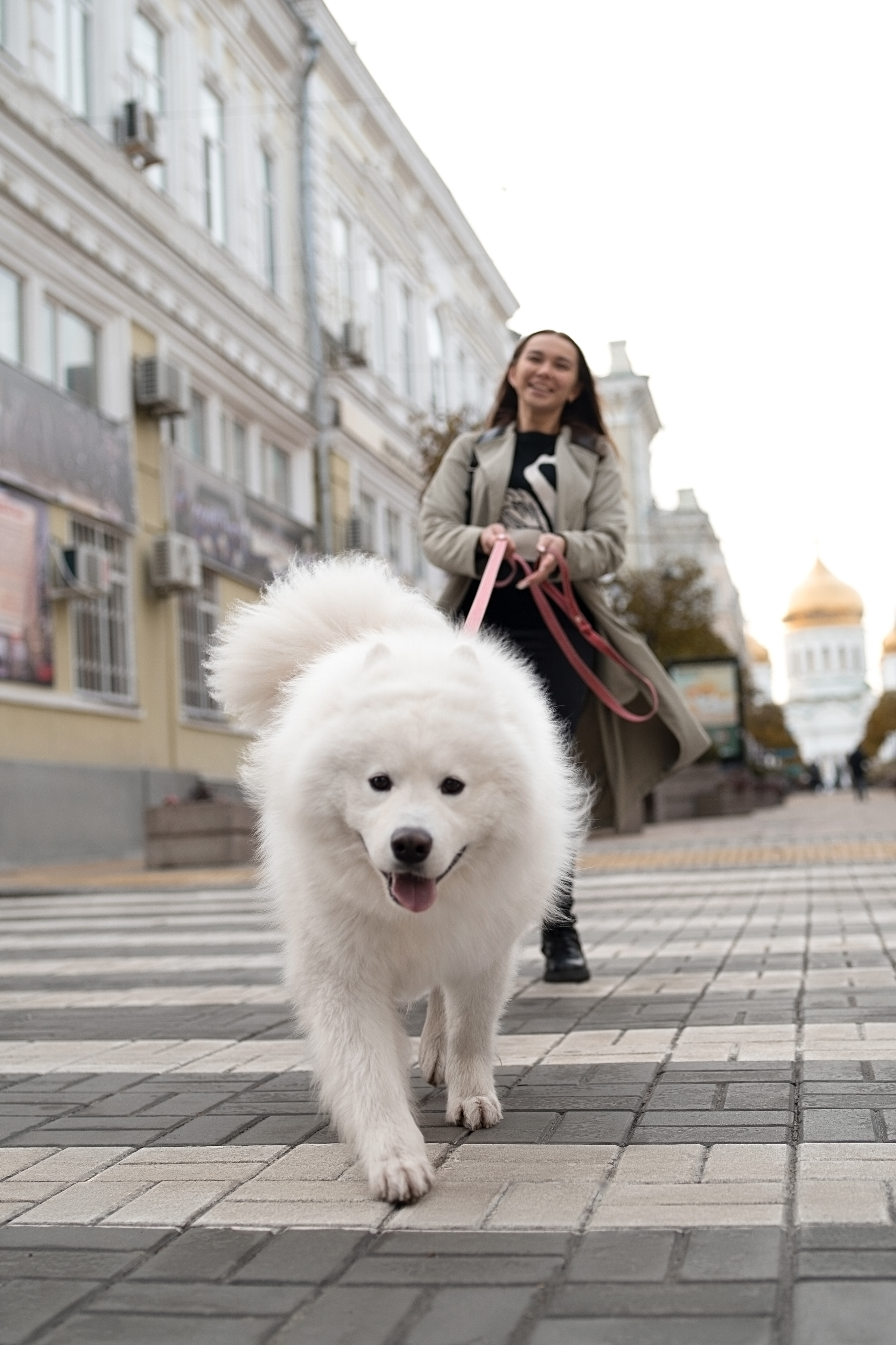 Белый и пушистый. Фотограф анималист