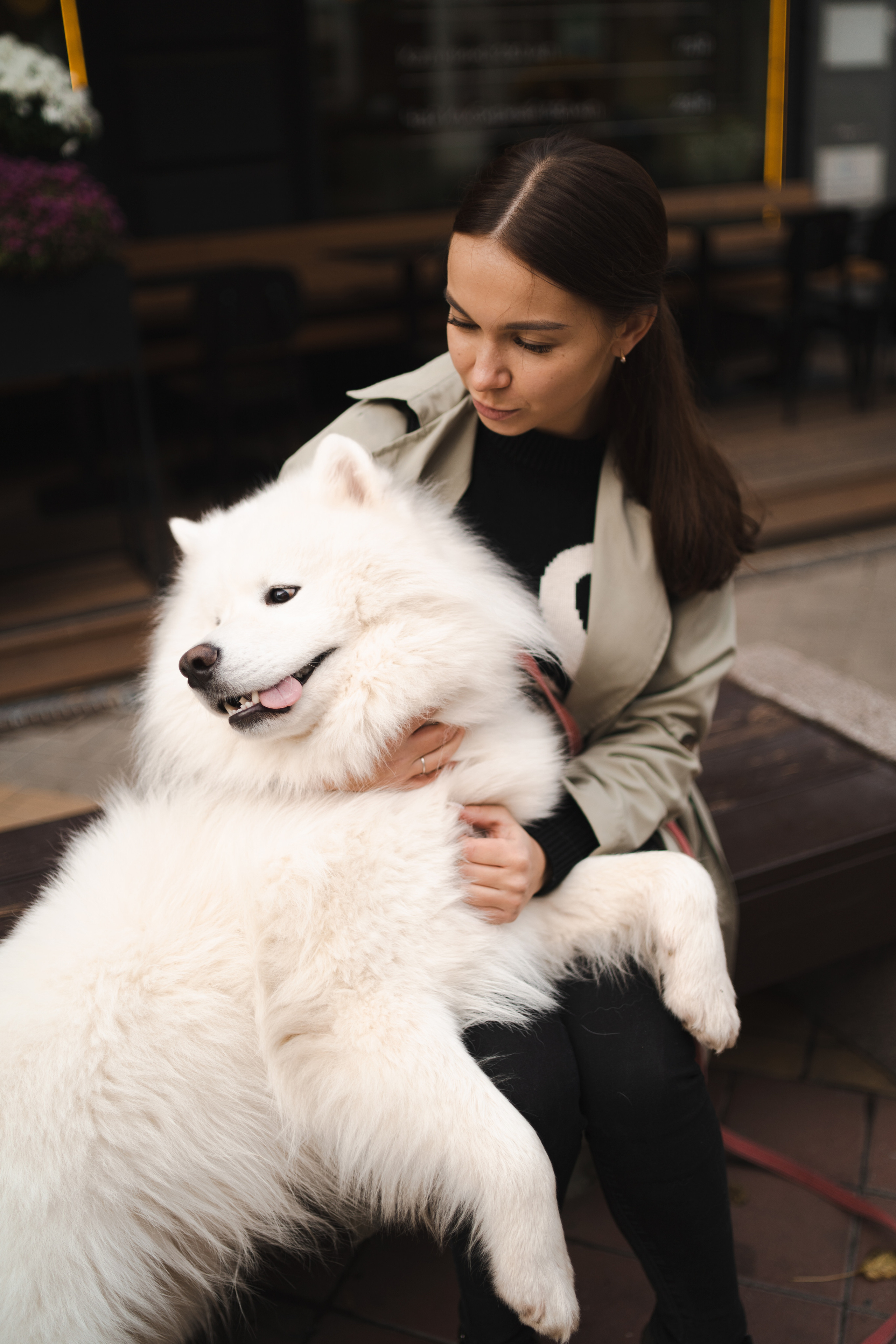 Белый и пушистый. Фотограф анималист