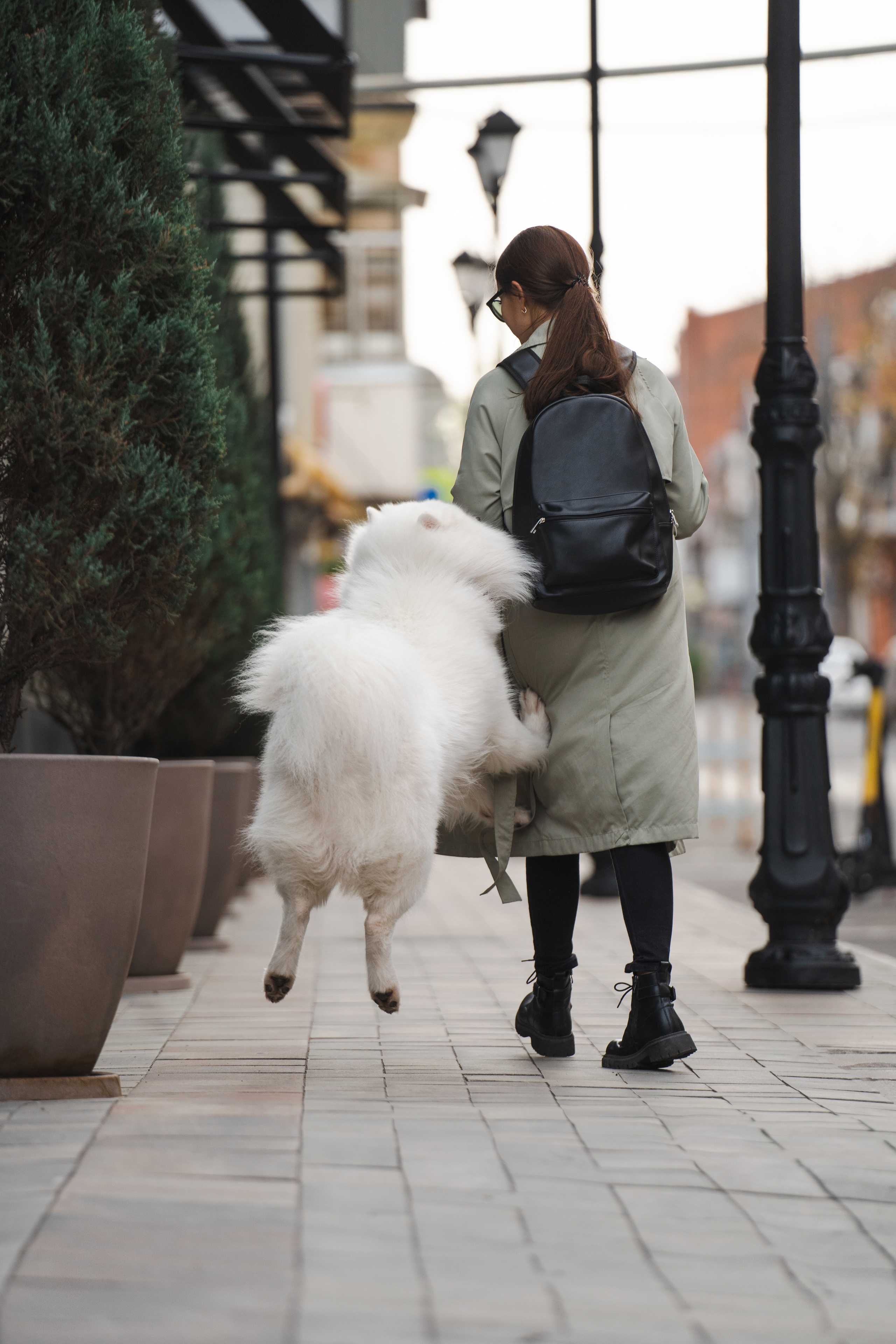 Белый и пушистый. Фотограф анималист