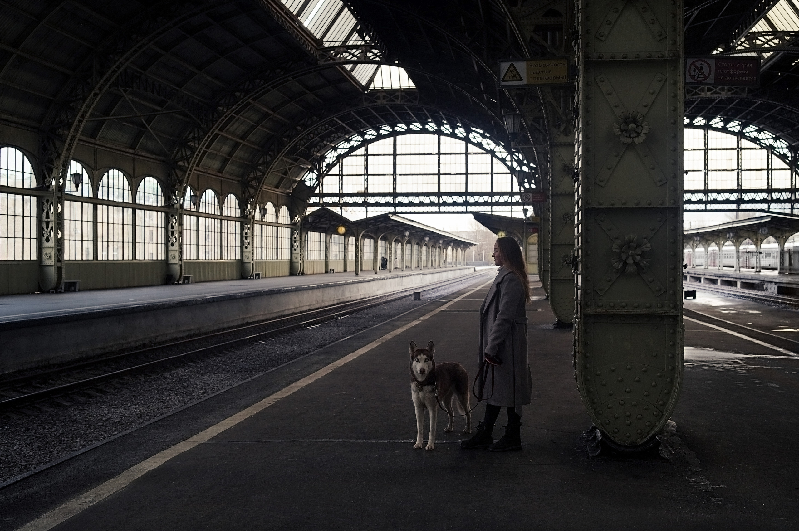 На вокзале. Фотограф анималист