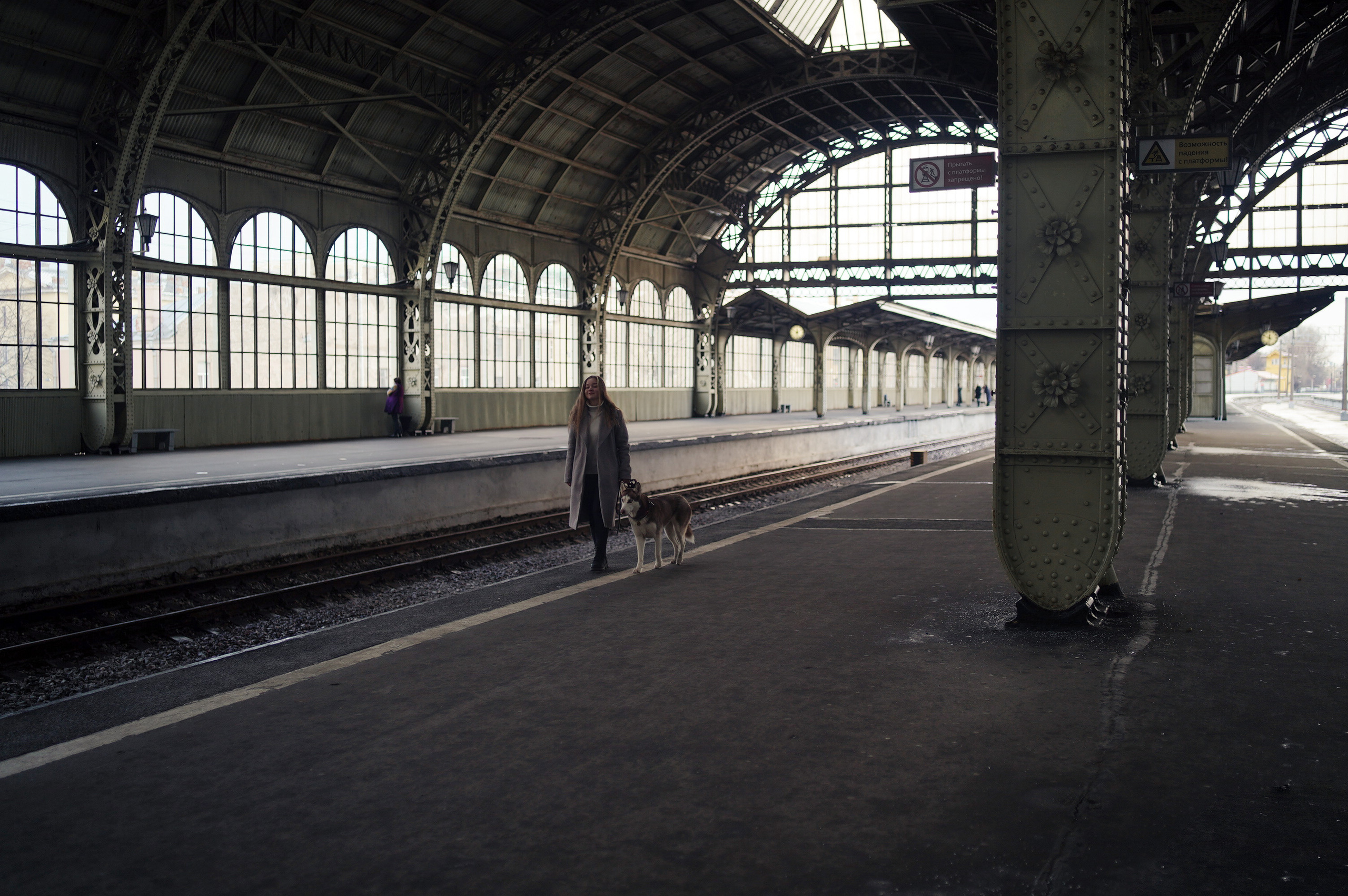 На вокзале. Фотограф анималист