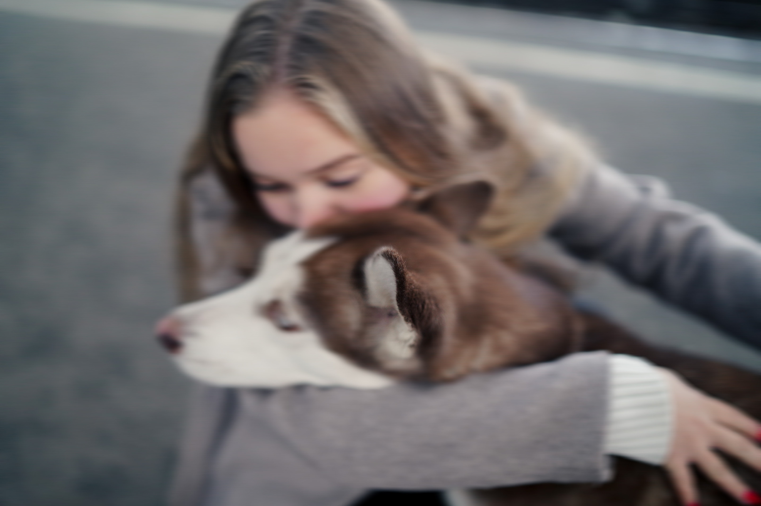 На вокзале. Фотограф анималист