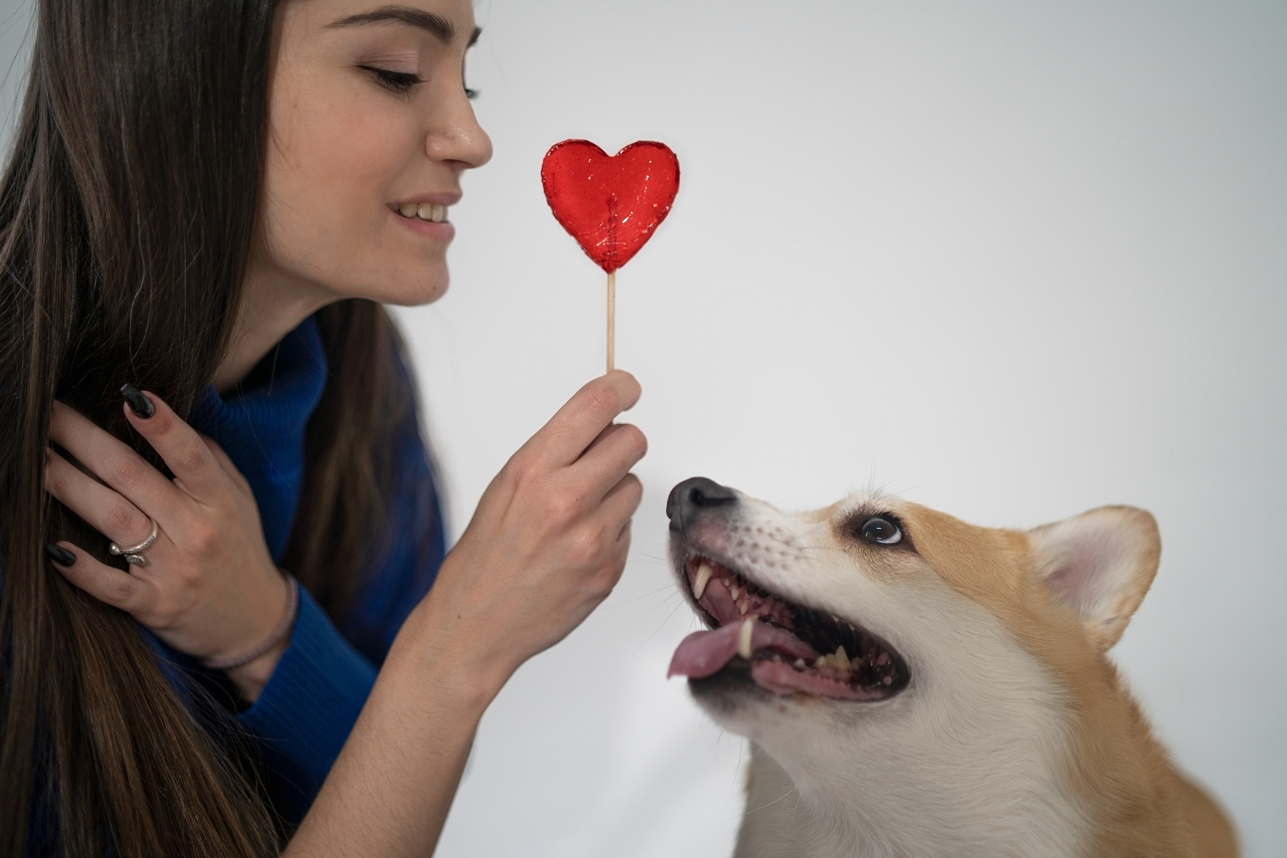 Марина и ее коржики. Фотограф анималист