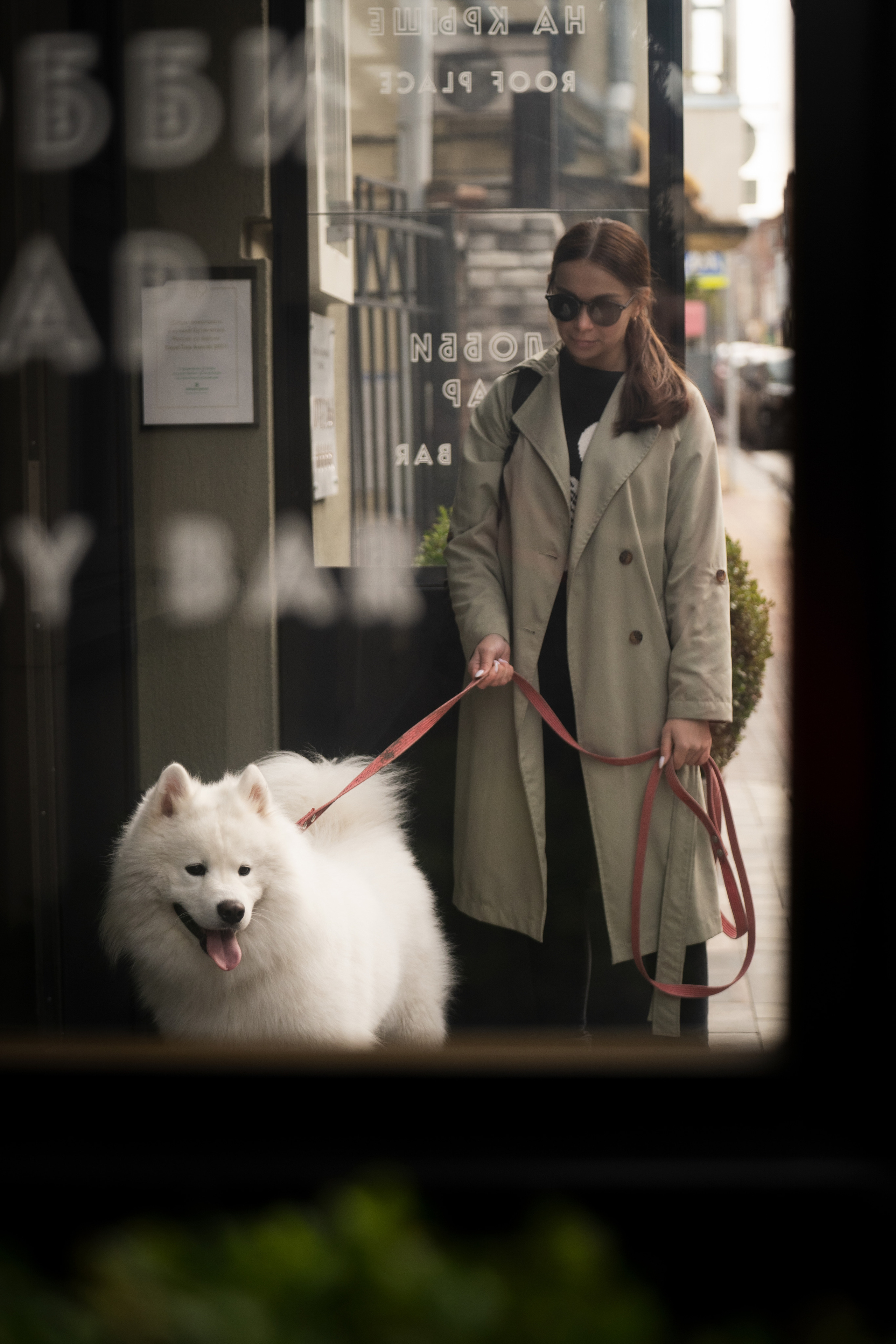 Белый и пушистый. Фотограф анималист