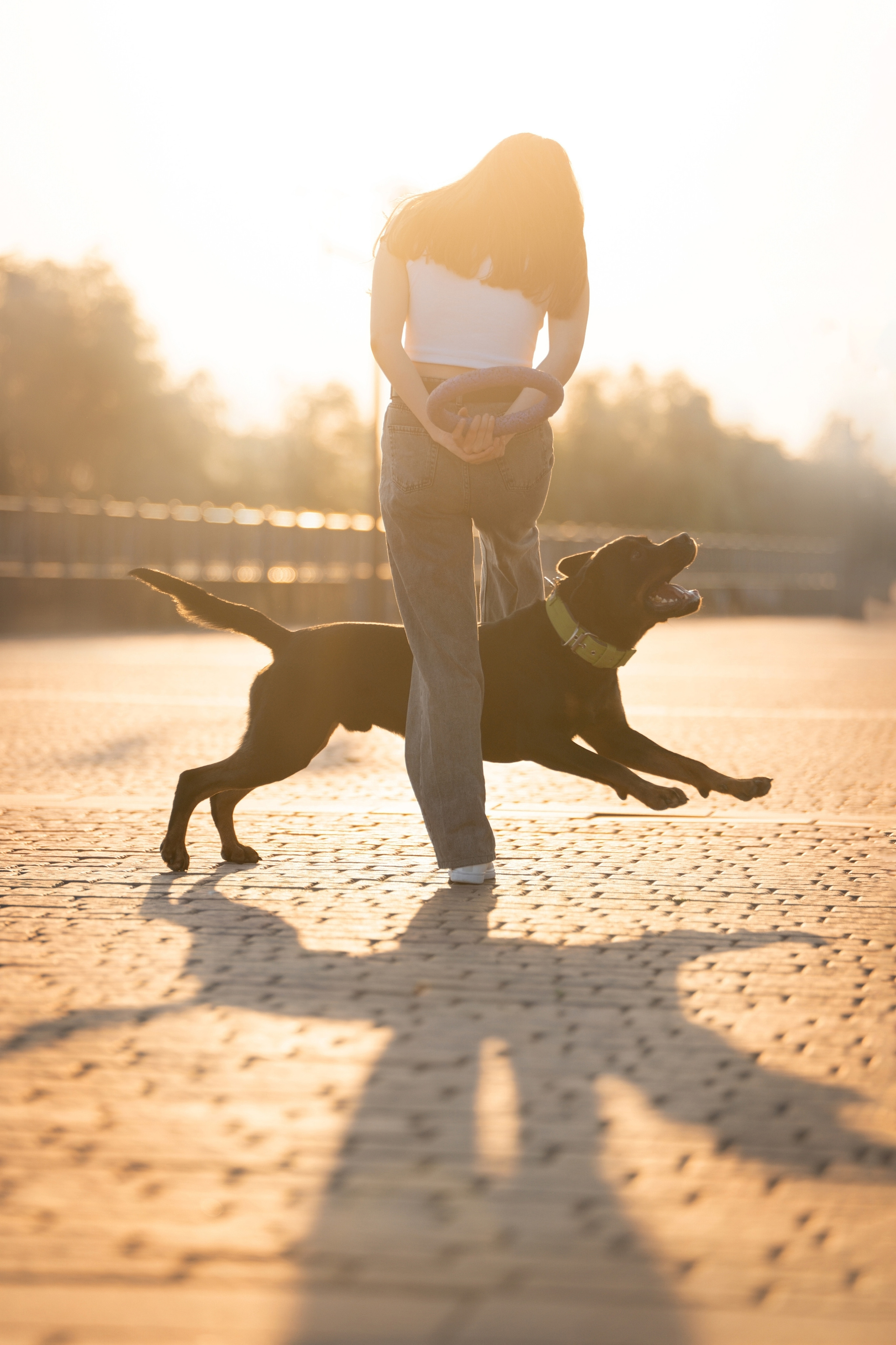 Фотограф анималист