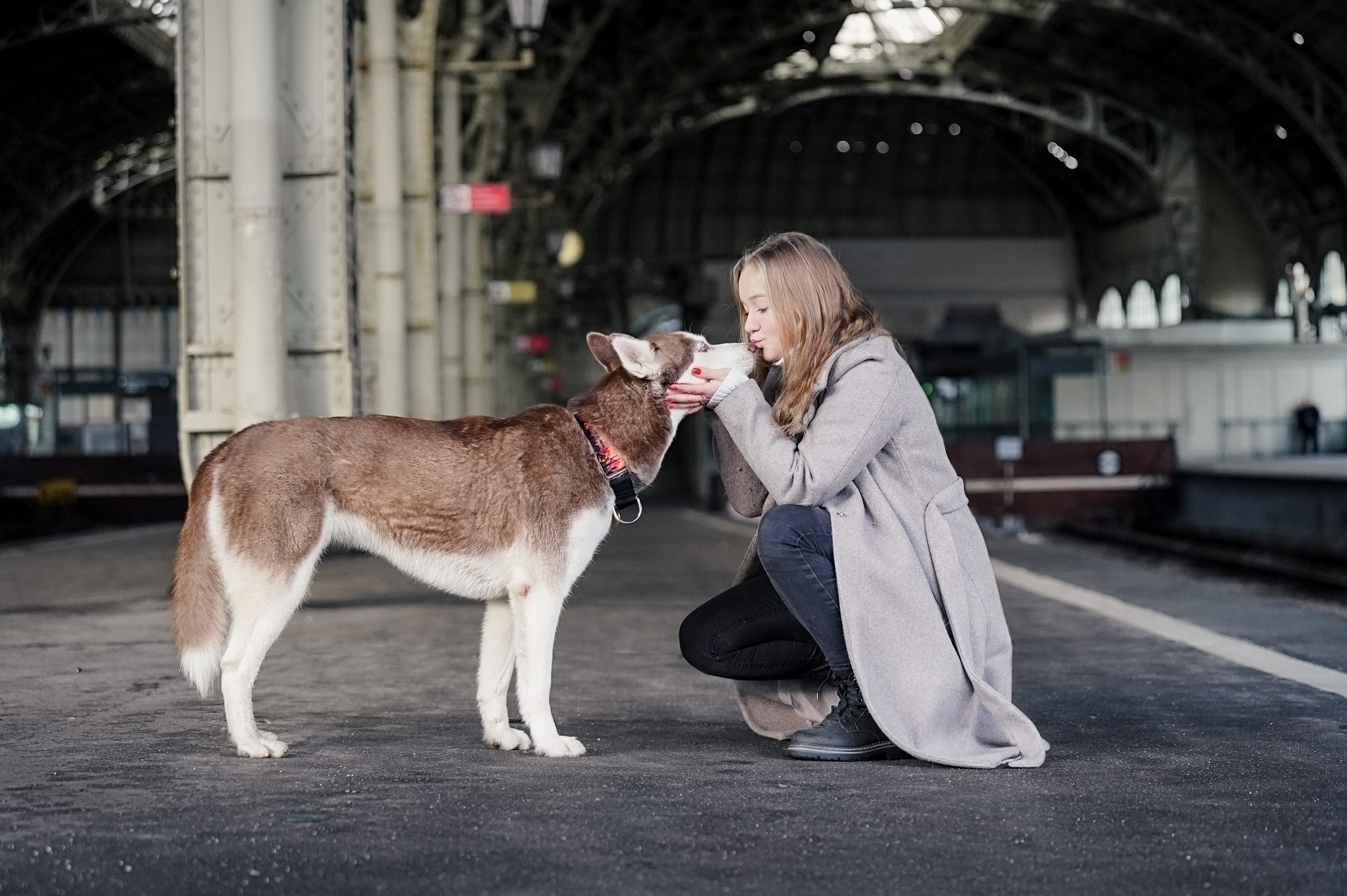 На вокзале. Фотограф анималист