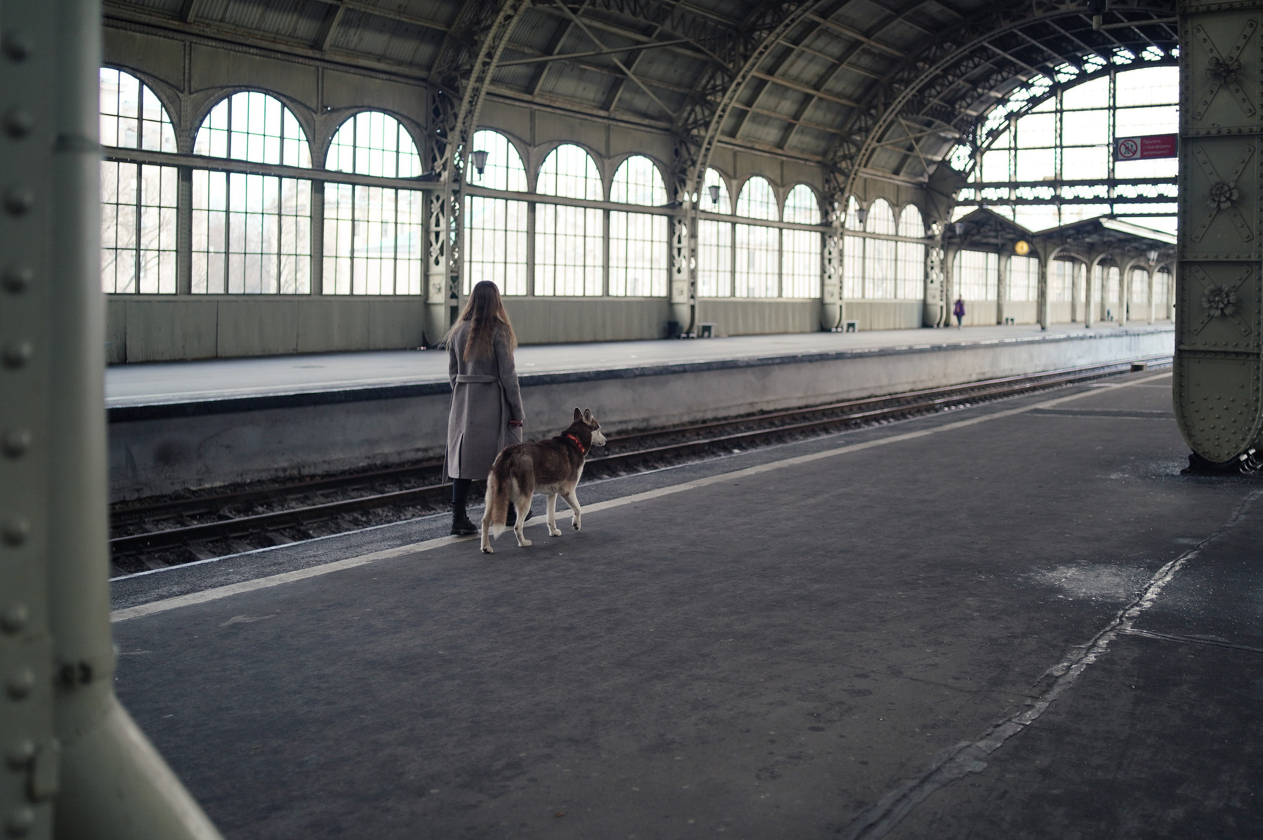 На вокзале. Фотограф анималист