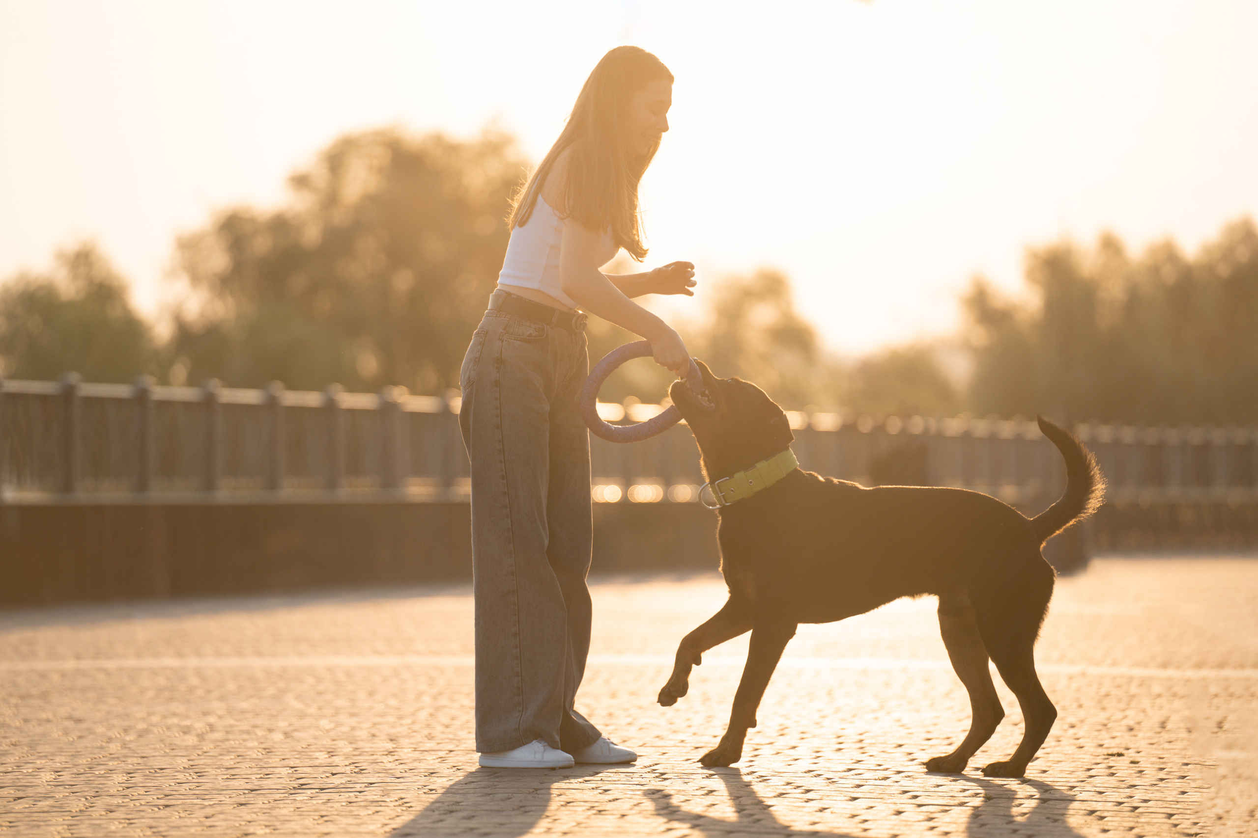 Амадик на рассвете. Фотограф анималист