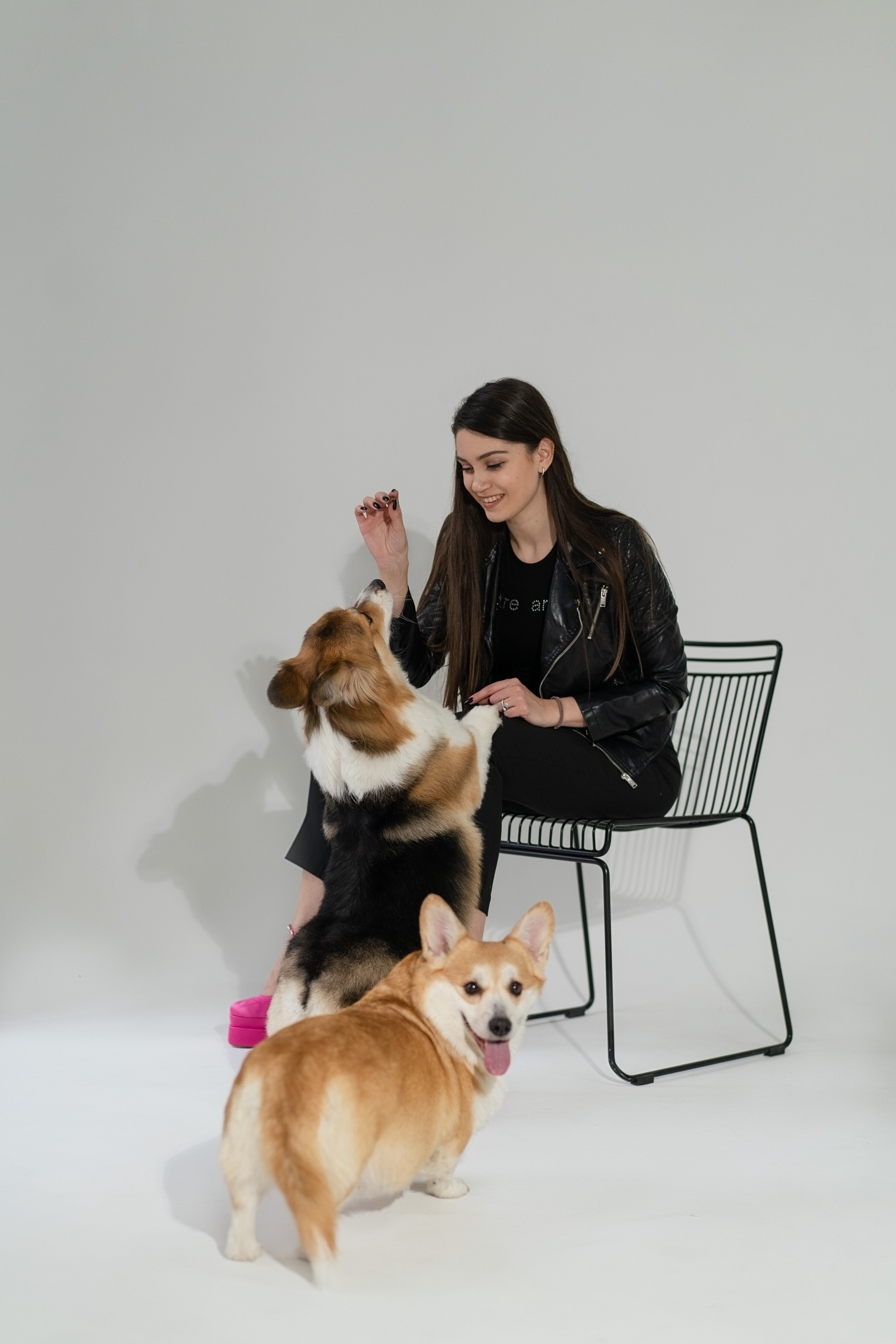 Марина и ее коржики. Фотограф анималист