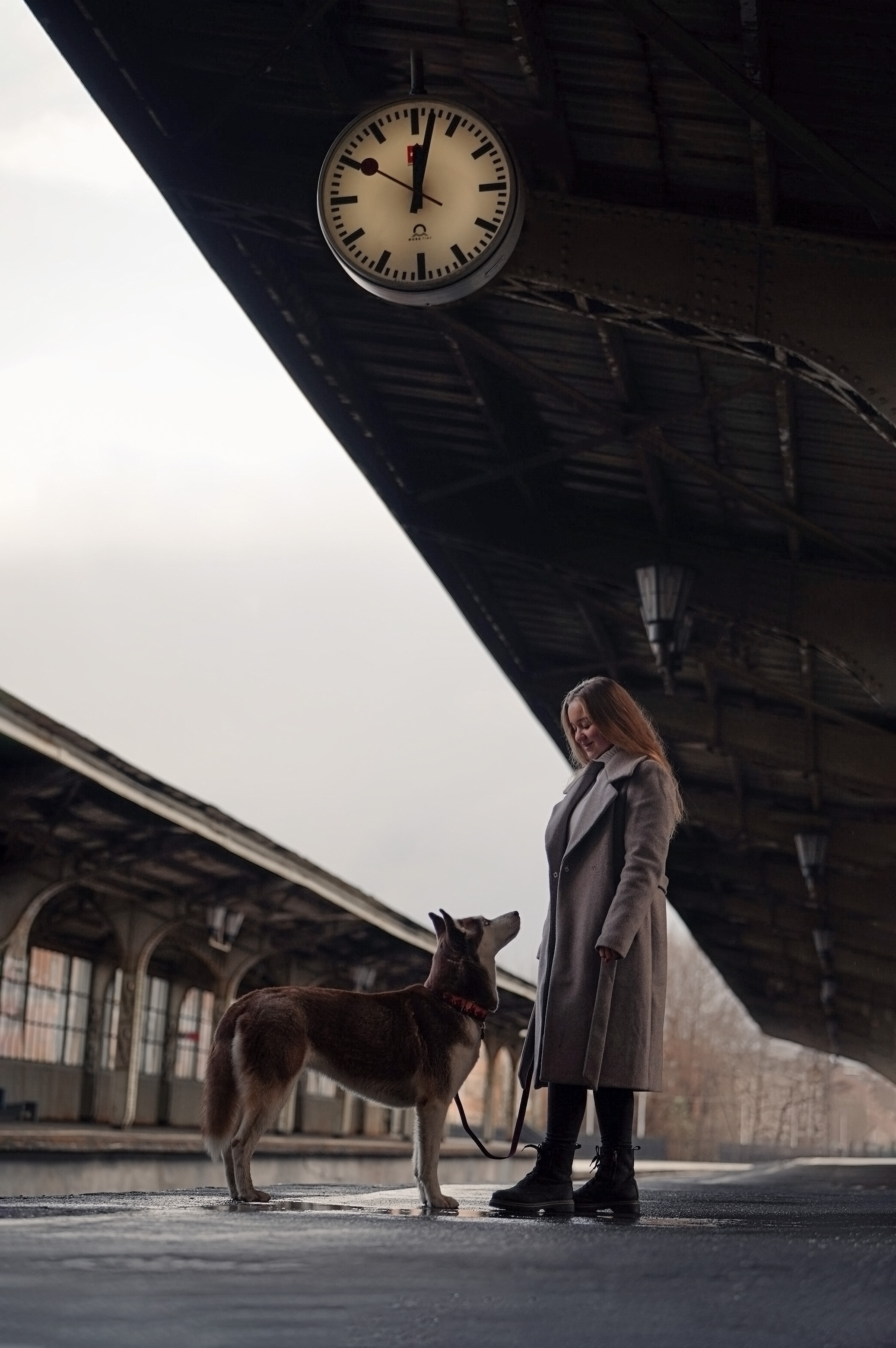 На вокзале. Фотограф анималист