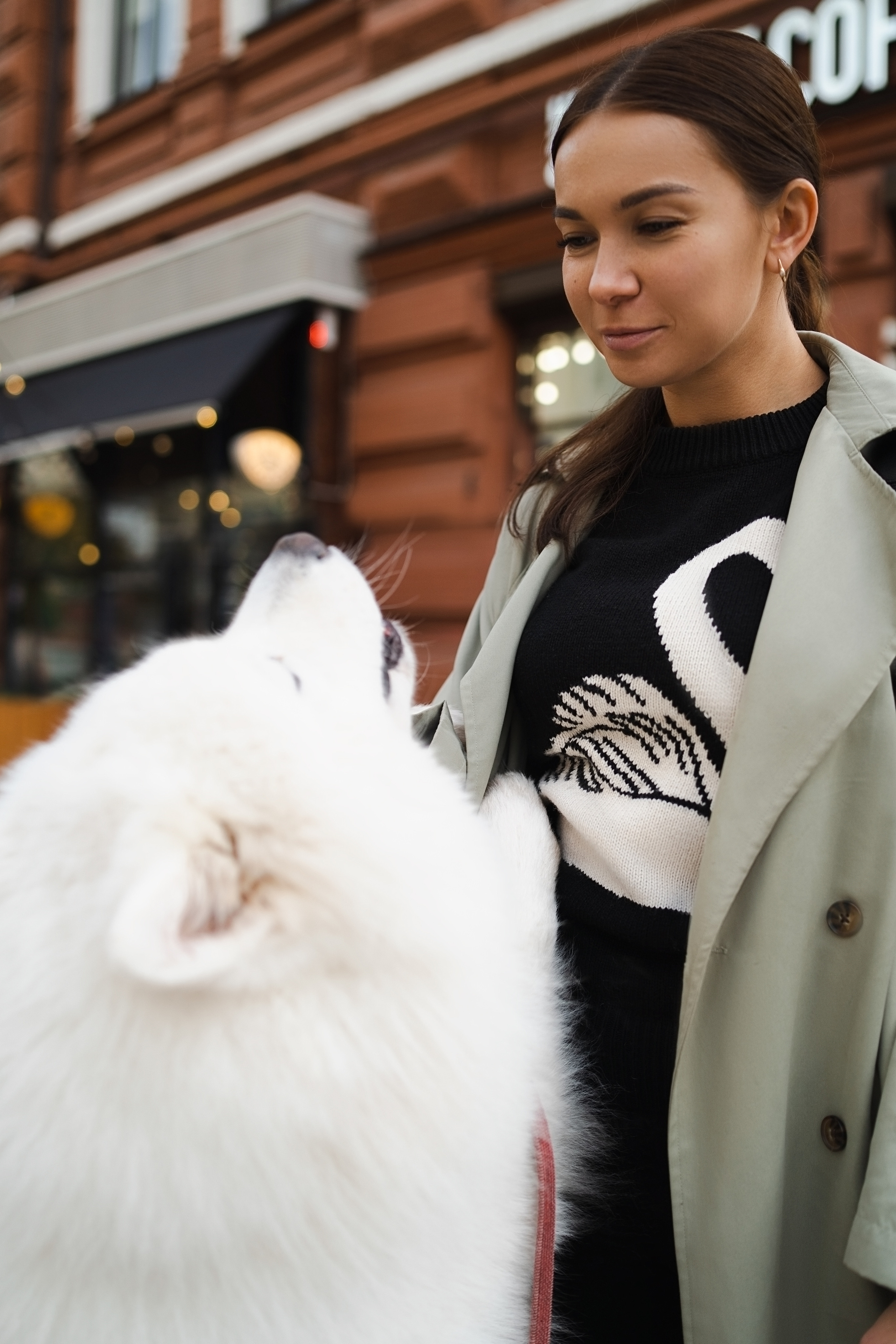 Белый и пушистый. Фотограф анималист