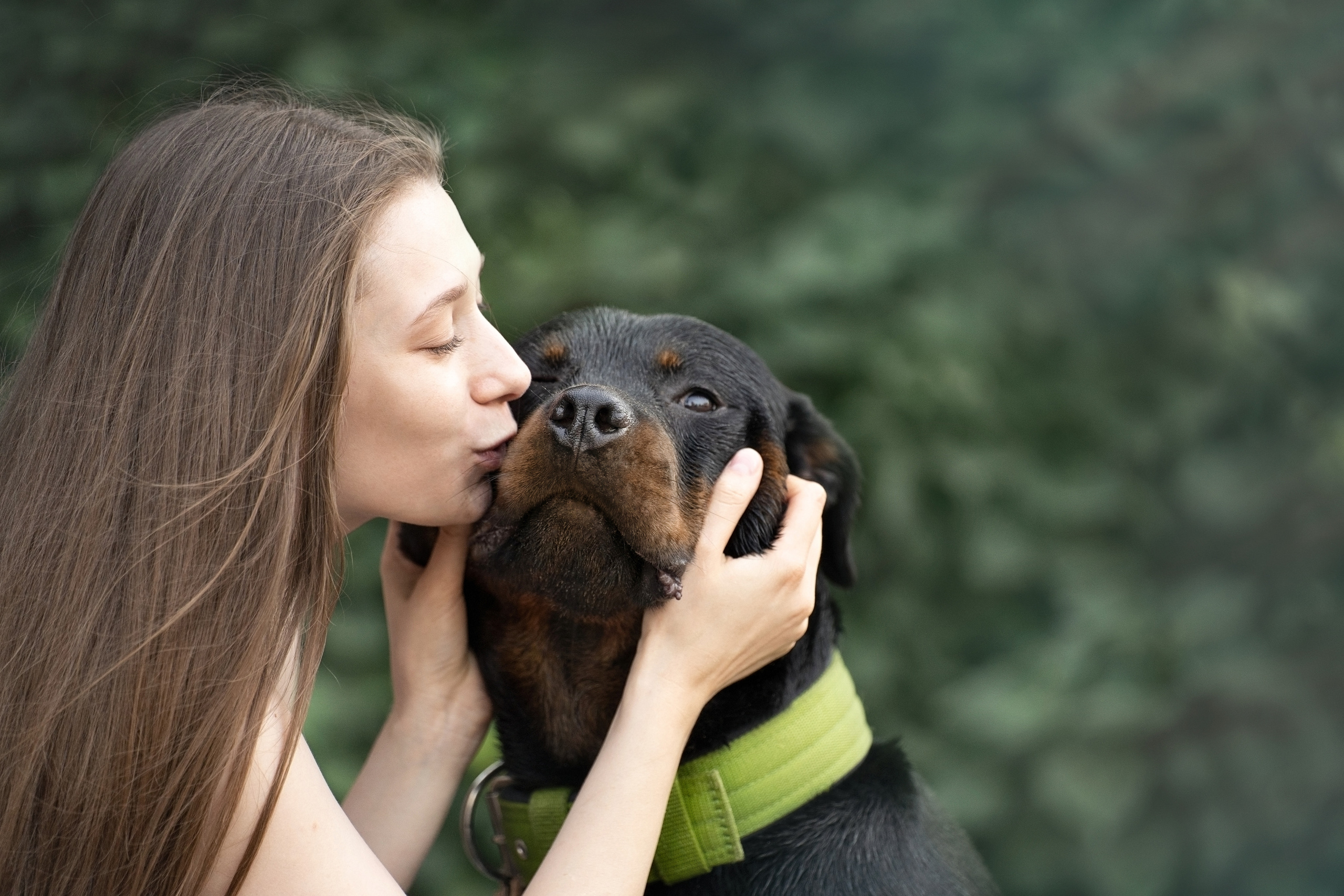 Амадик на рассвете. Фотограф анималист