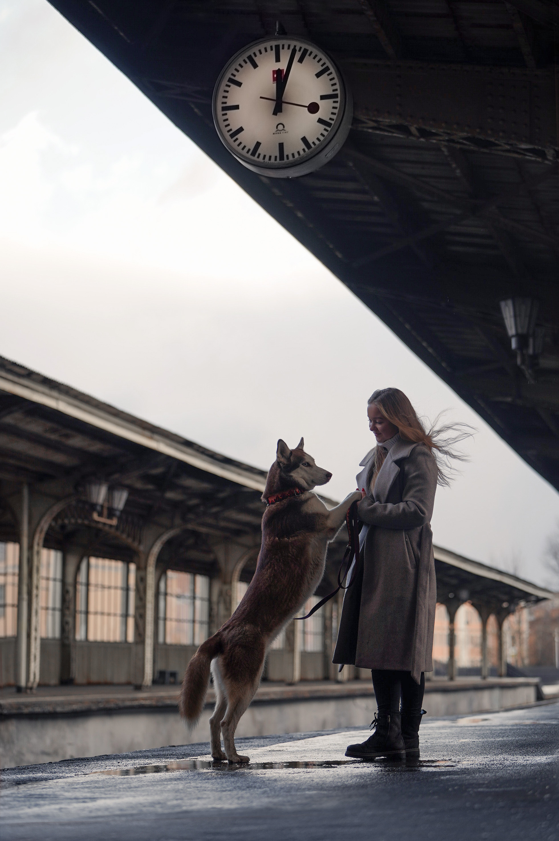 На вокзале. Фотограф анималист