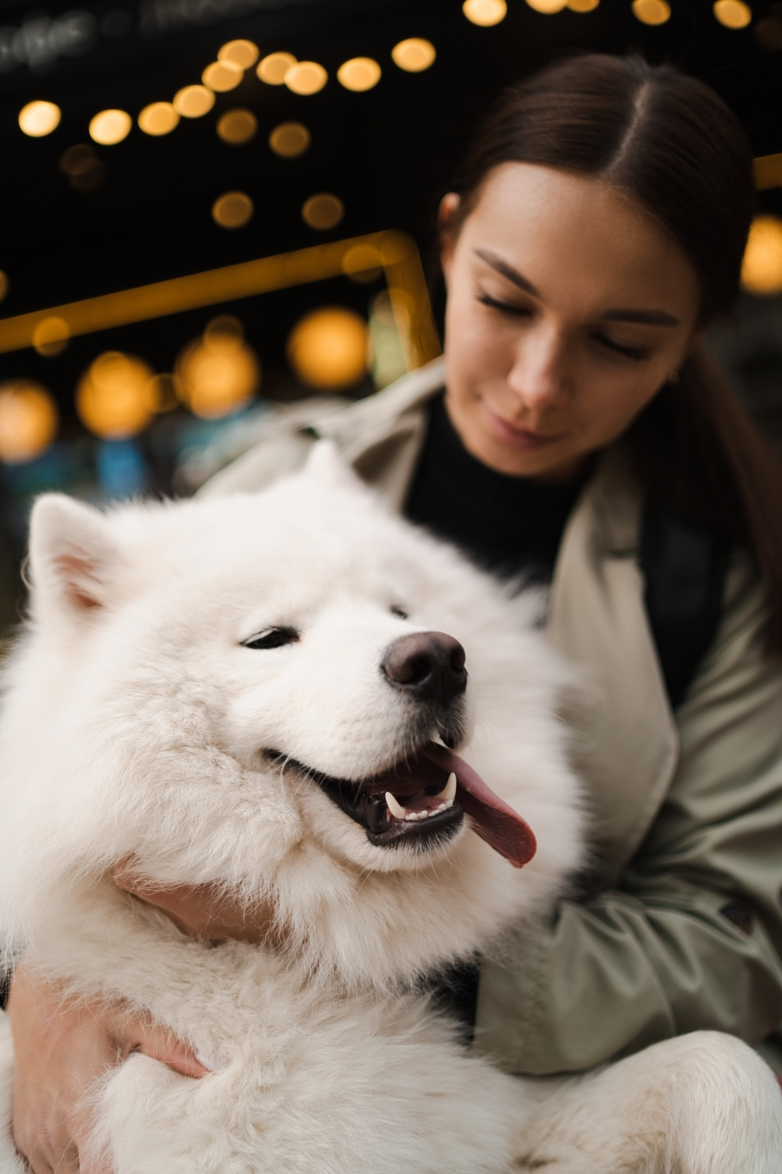 Белый и пушистый. Фотограф анималист
