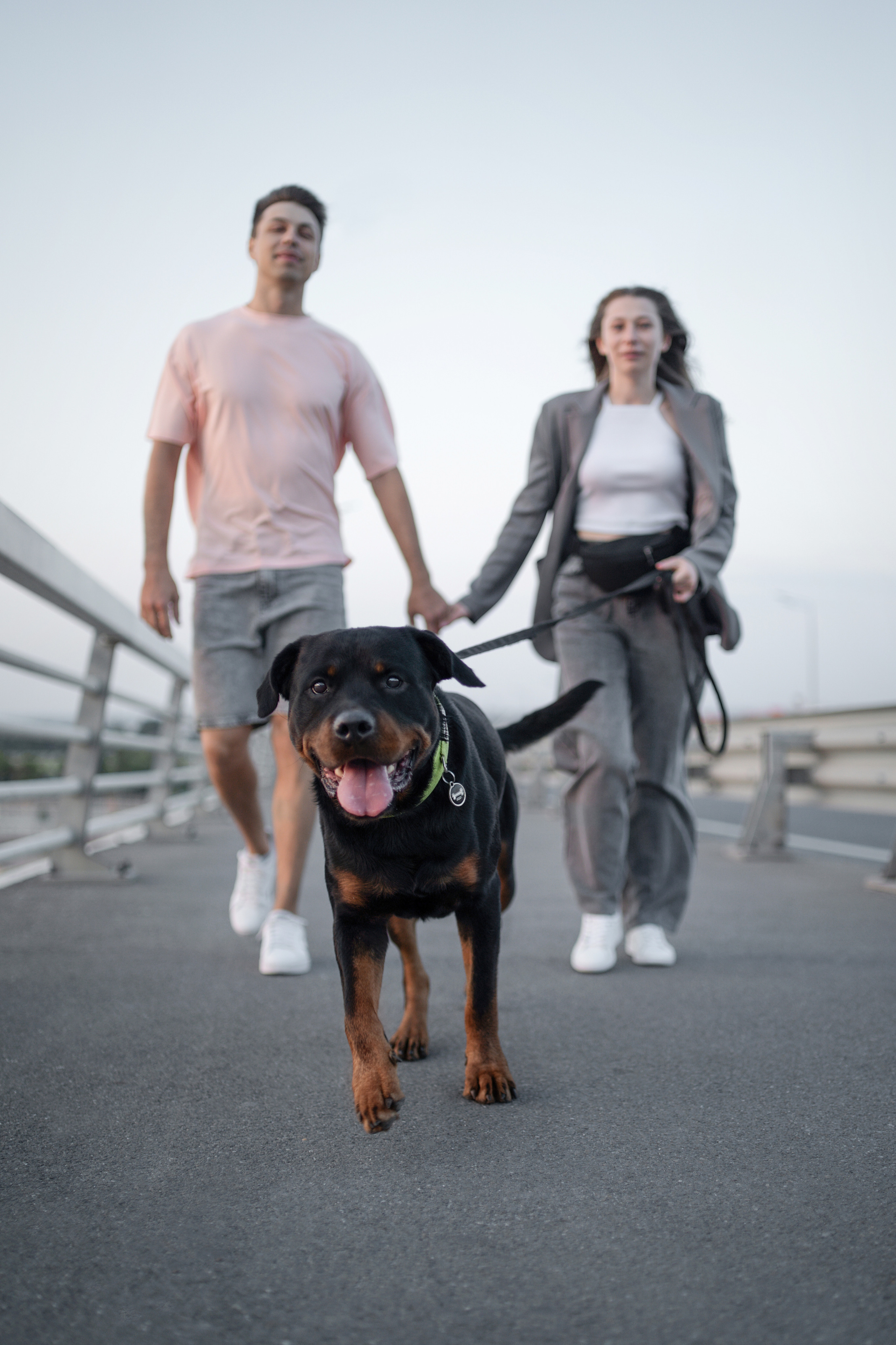 Амадик на рассвете. Фотограф анималист