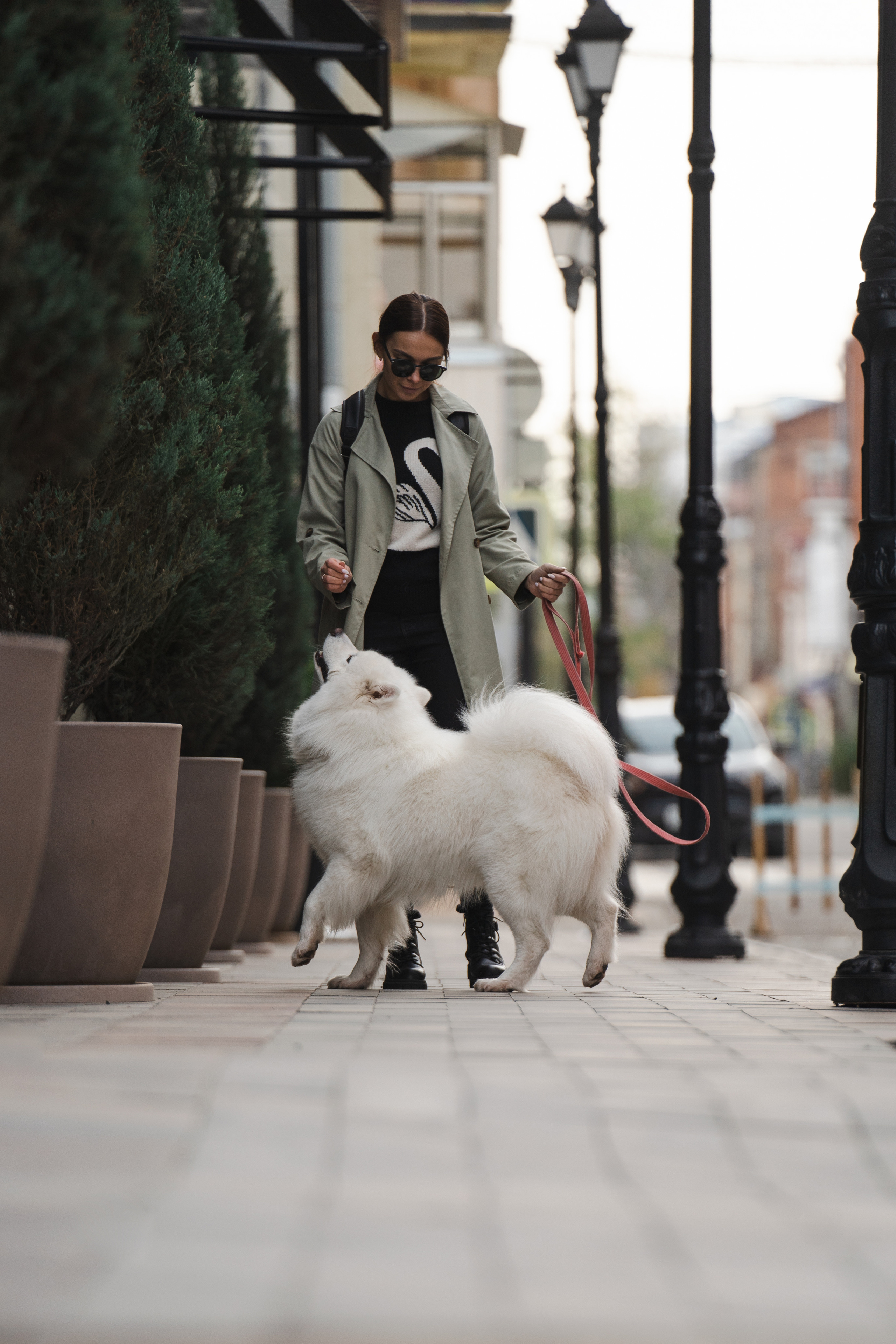 Белый и пушистый. Фотограф анималист