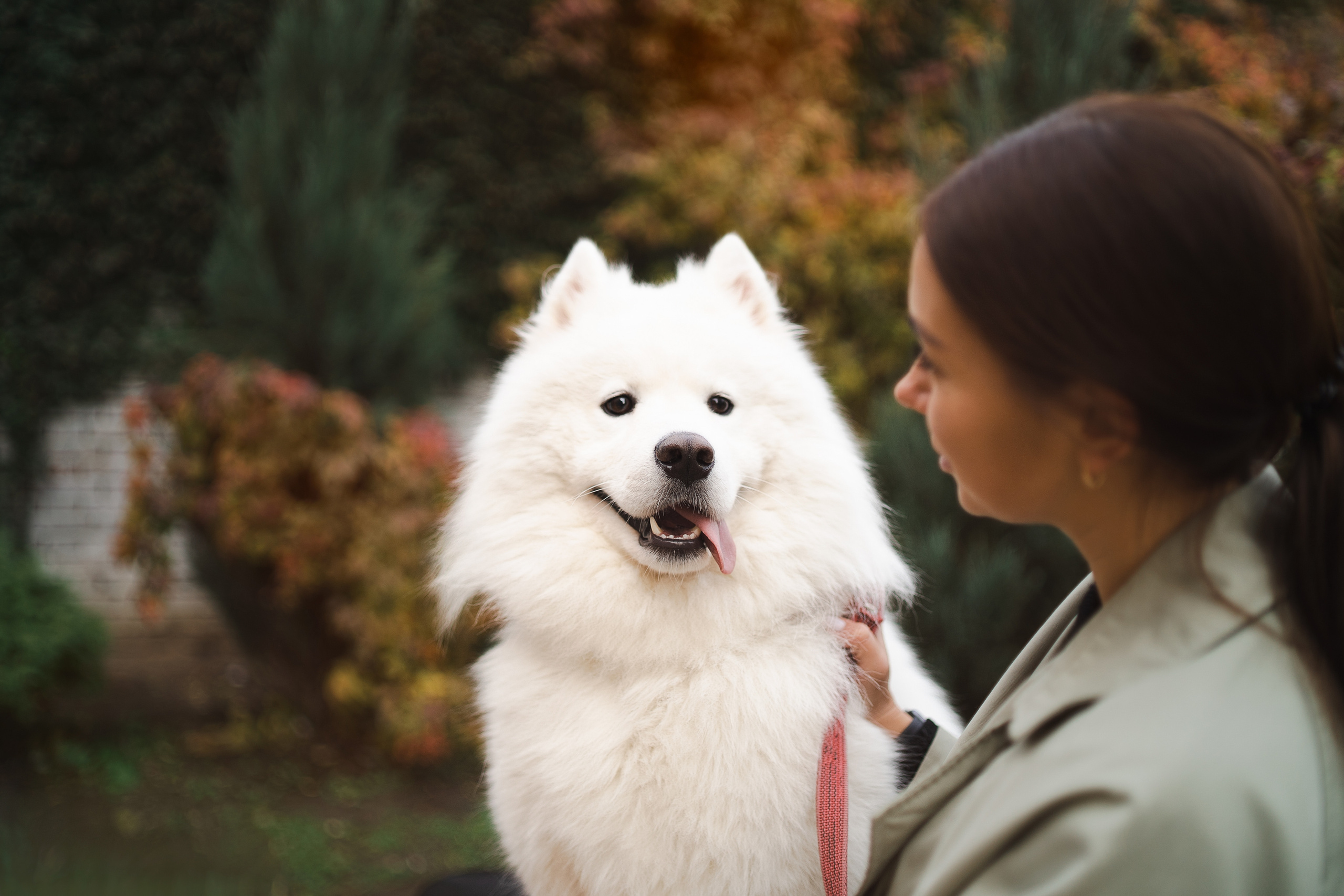 Белый и пушистый. Фотограф анималист