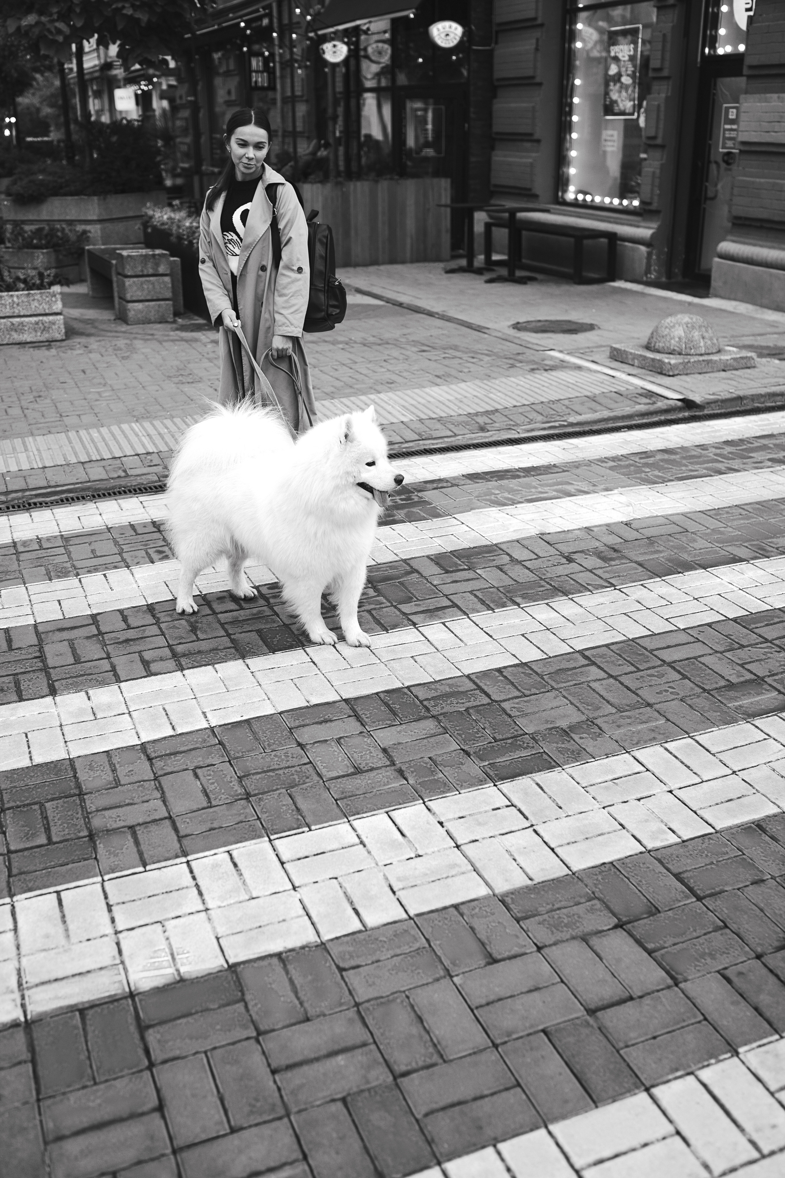 Белый и пушистый. Фотограф анималист