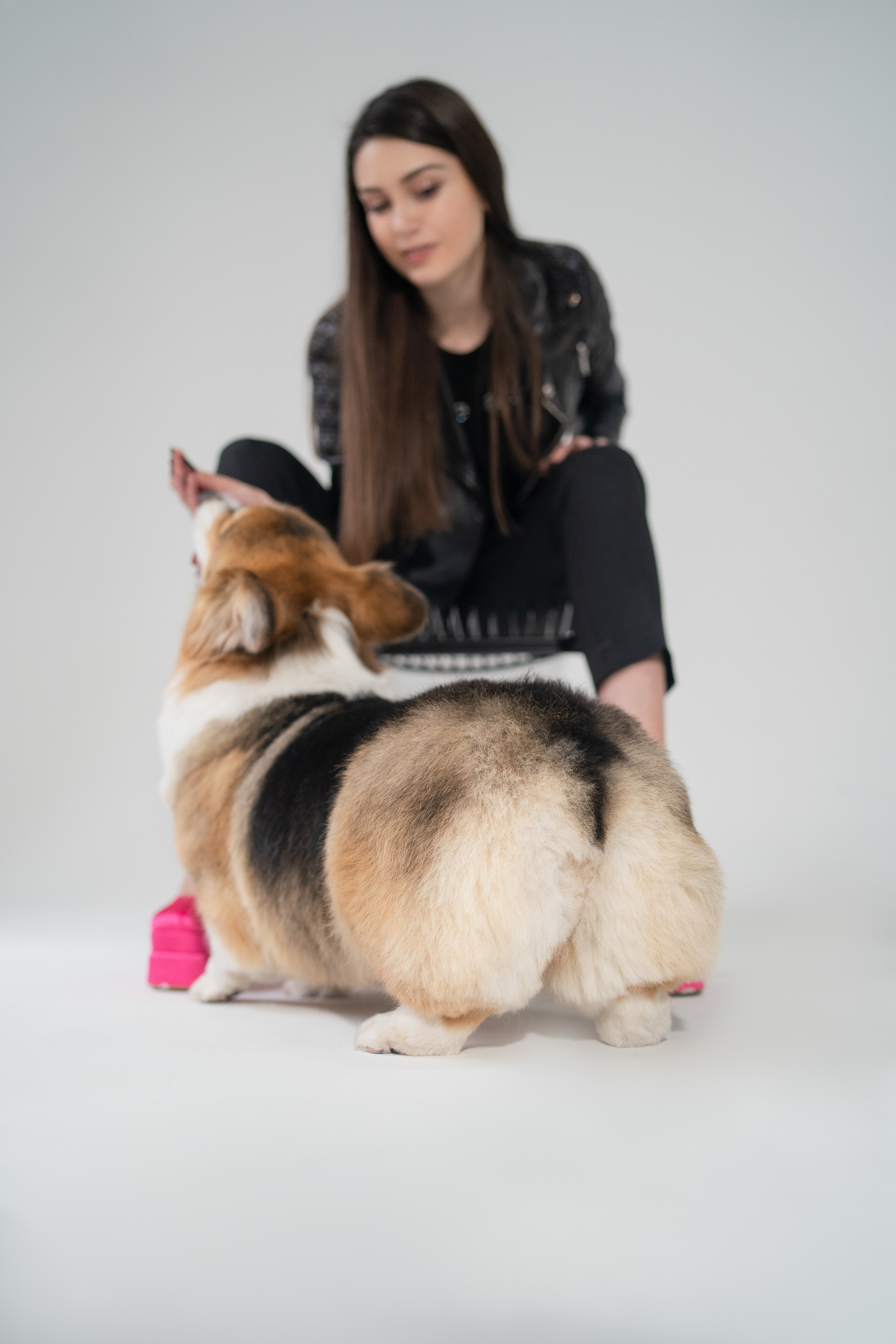 Марина и ее коржики. Фотограф анималист